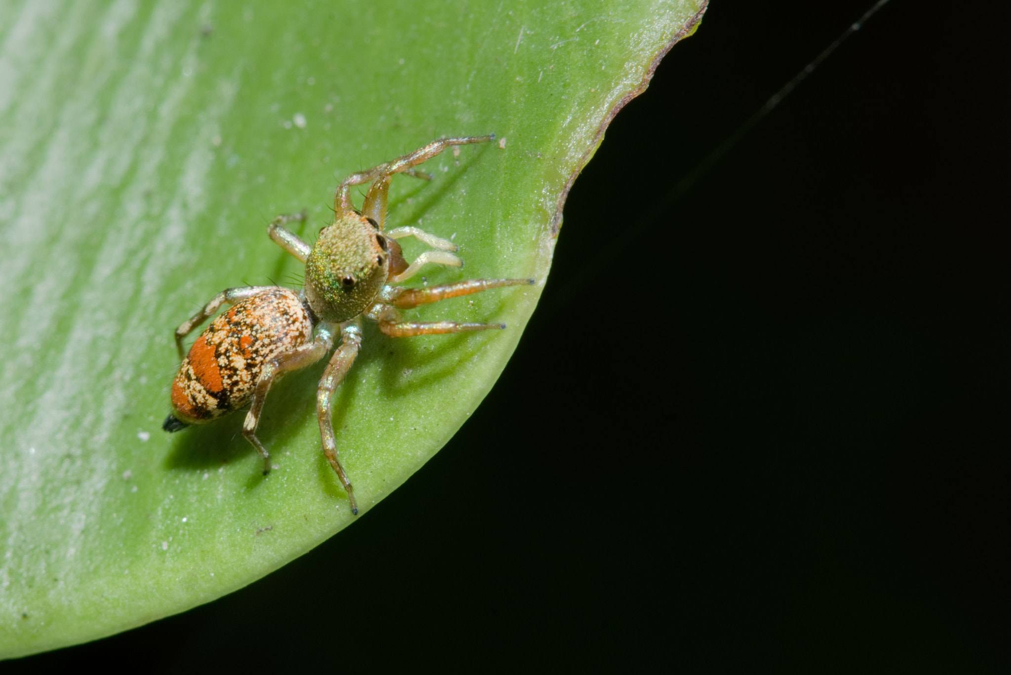 Nikon D800 sample photo. Exposure photography