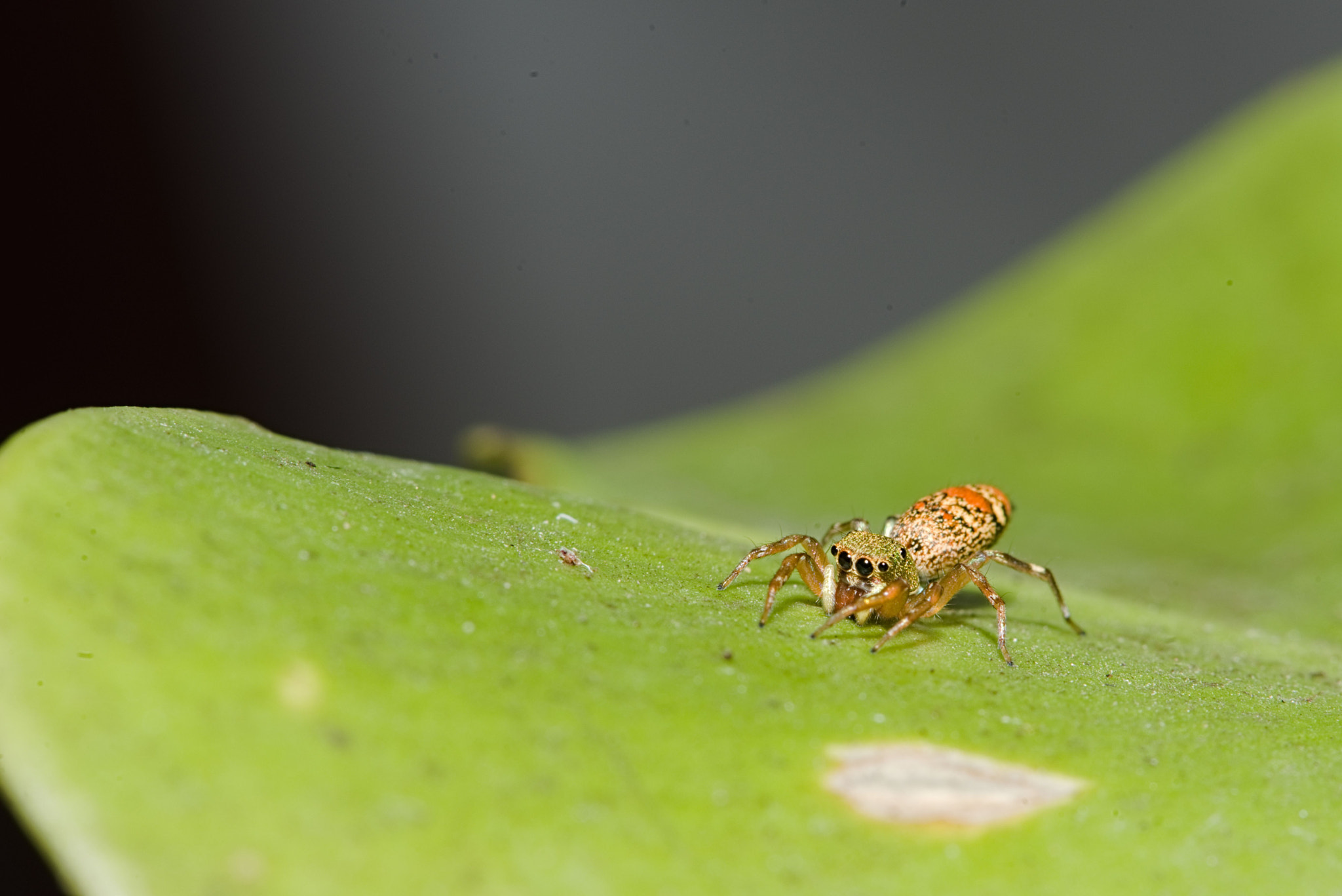 Nikon D800 sample photo. Exposure photography