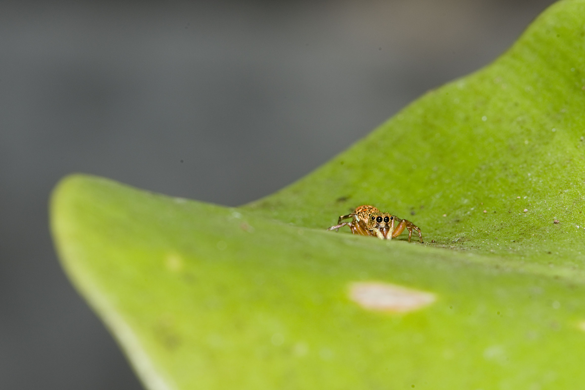 Nikon D800 sample photo. Exposure photography