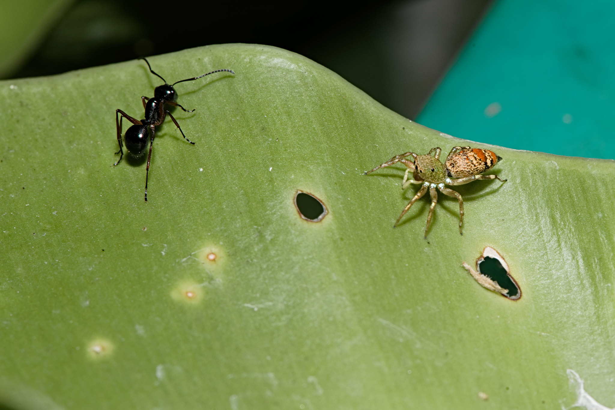 Nikon D800 sample photo. Exposure photography