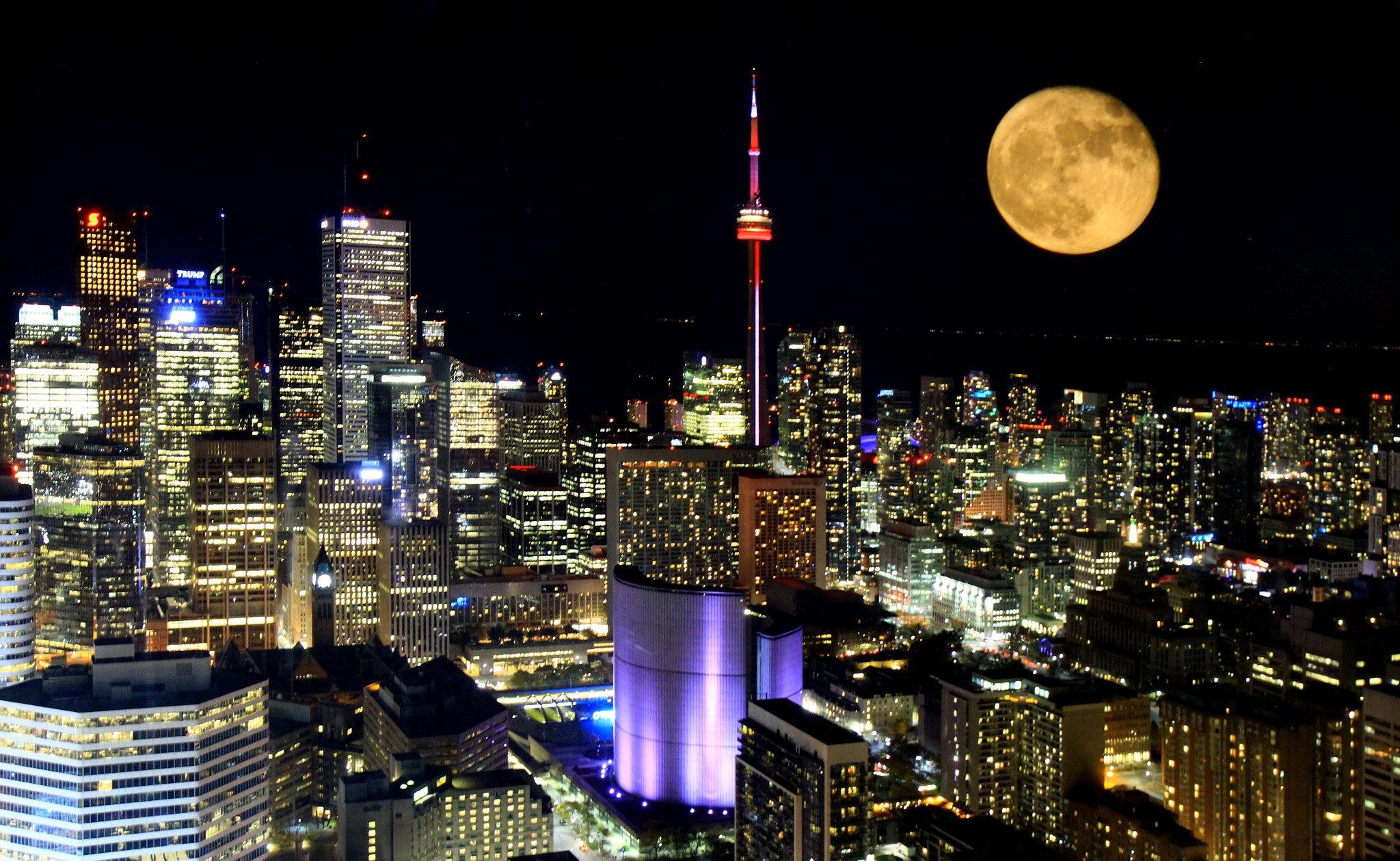 Canon EF-S 17-55mm F2.8 IS USM sample photo. Toronto photography