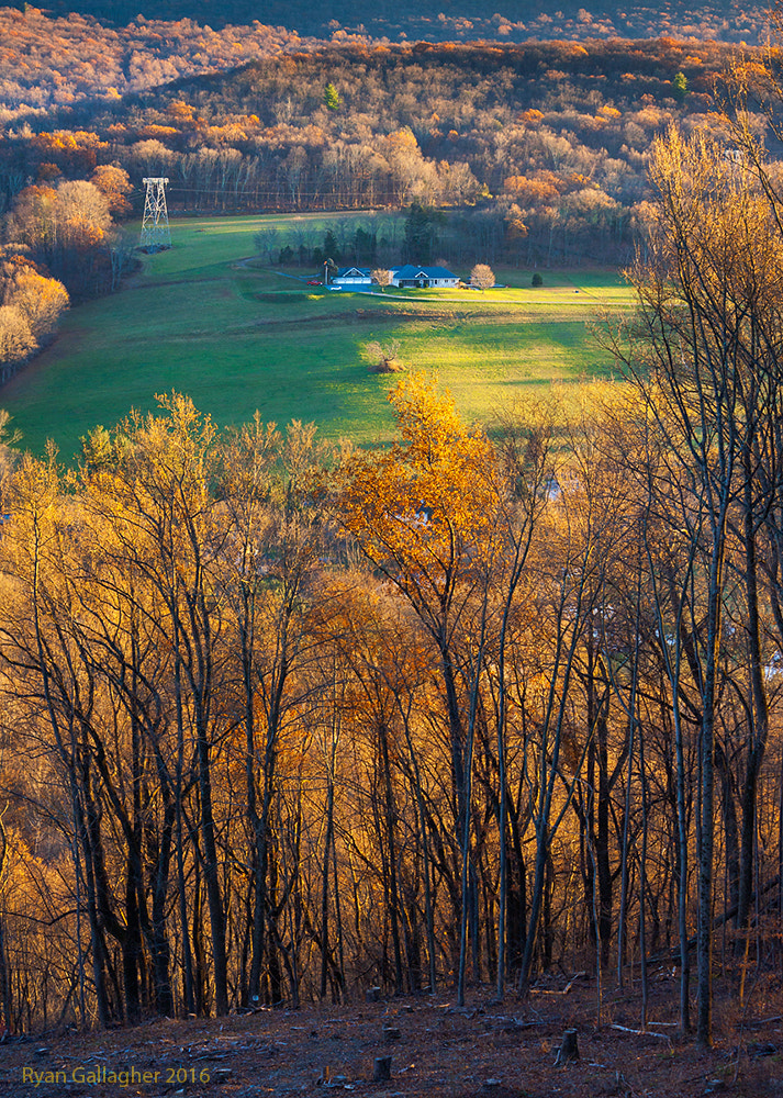 Canon EF-S 55-250mm F4-5.6 IS sample photo. The view from the clearing photography
