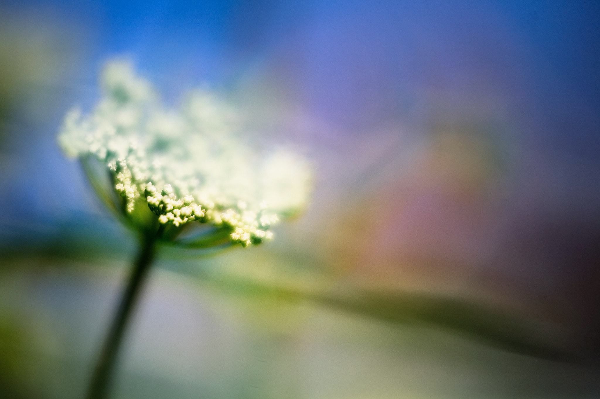 Canon EOS 5D + Canon EF 100mm F2.8 Macro USM sample photo. The wave photography