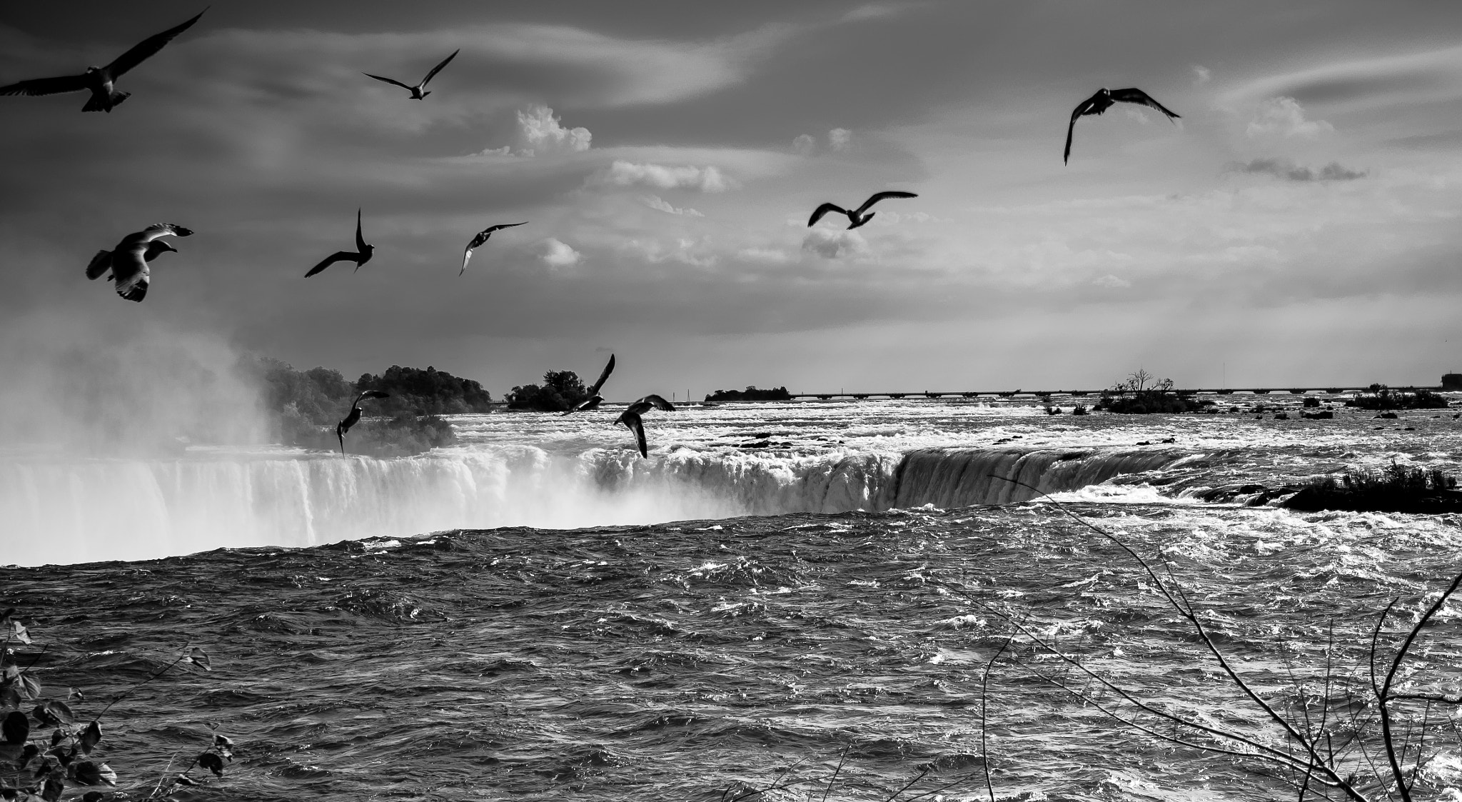 Fujifilm X-E2S + Fujifilm XF 27mm F2.8 sample photo. Gulls over the falls photography