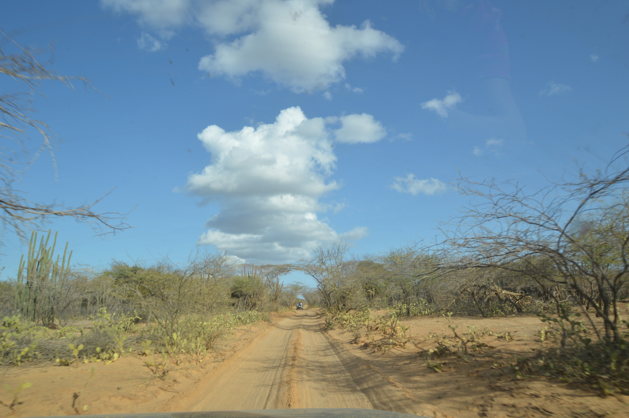 Nikon D3200 sample photo