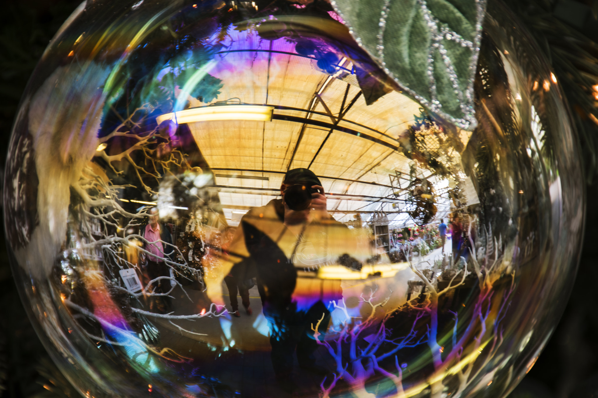 Nikon D500 sample photo. Ornament. leamington, on. photography