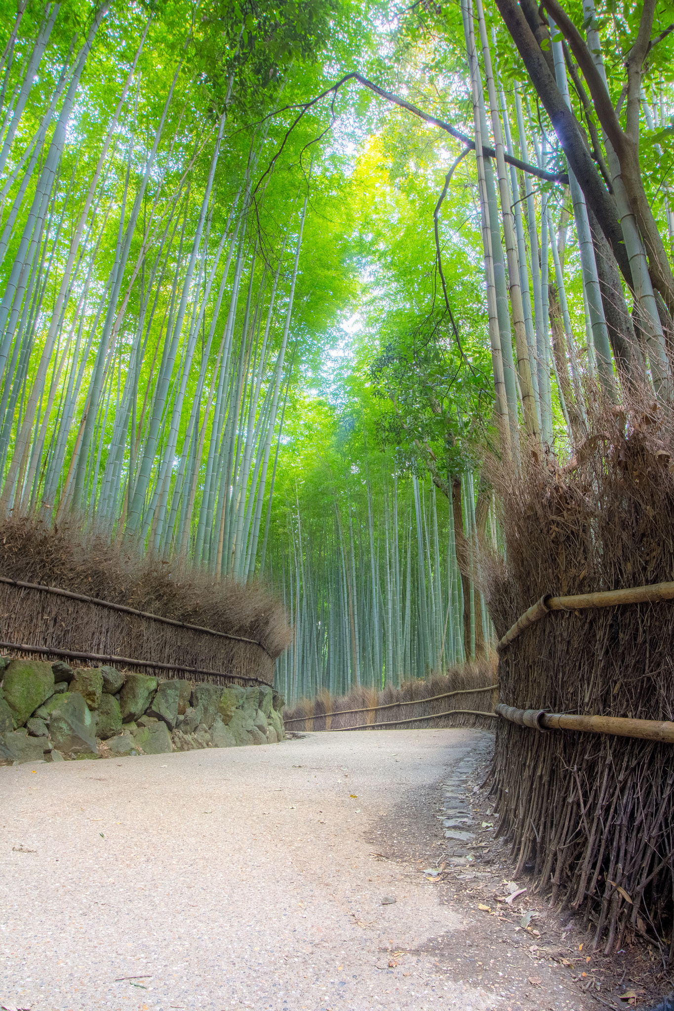 Canon EOS 60D + Sigma 15-30mm f/3.5-4.5 EX DG Aspherical sample photo. Am photography