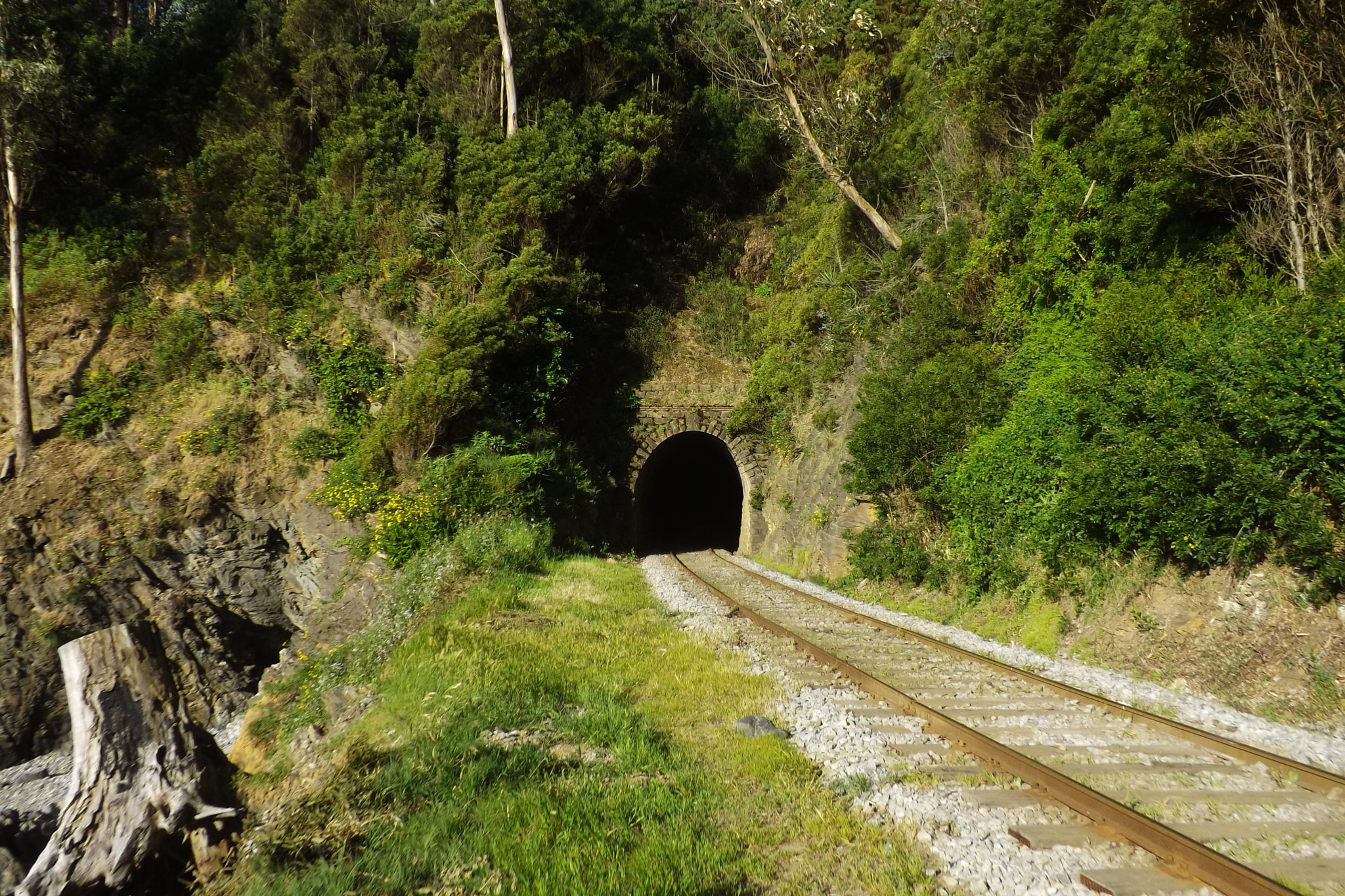 Fujifilm FinePix SL300 sample photo. Túnel chivilingo photography