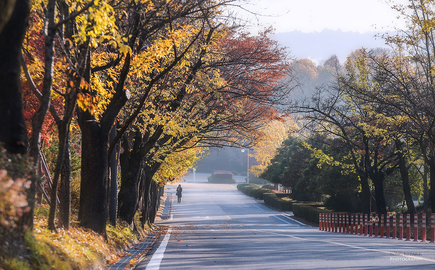 Pentax K-1 sample photo. Autumn, autumn, autumn photography