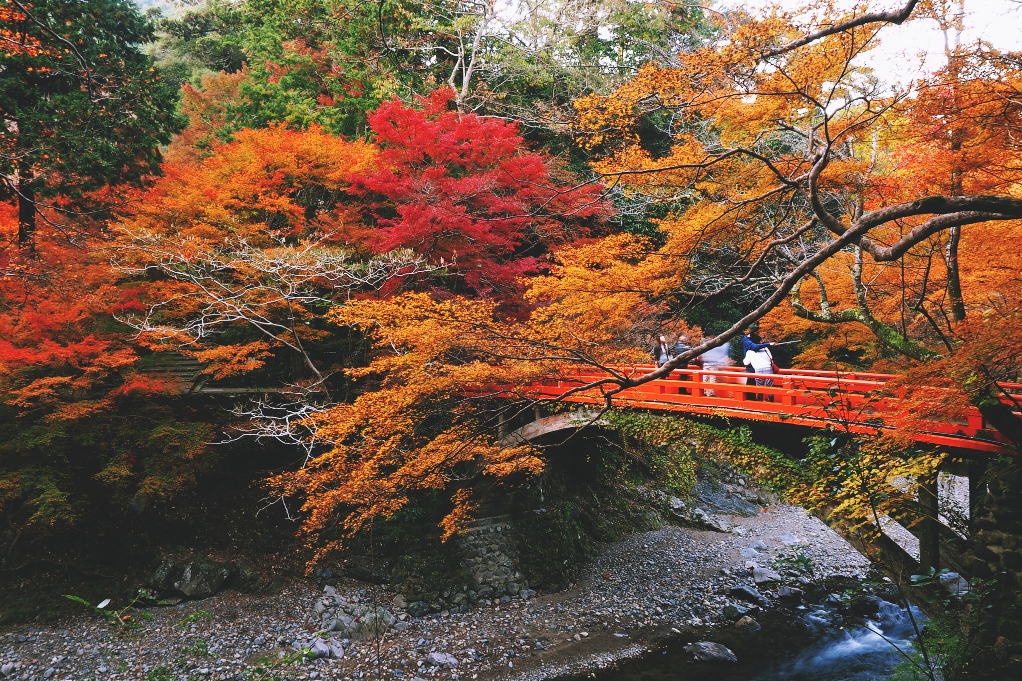 Olympus M.Zuiko Digital ED 12-40mm F2.8 Pro sample photo. Hiden bridge photography