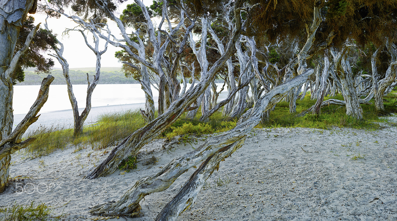 Phase One IQ180 sample photo. Kalgan river mouth albany, nanarup photography