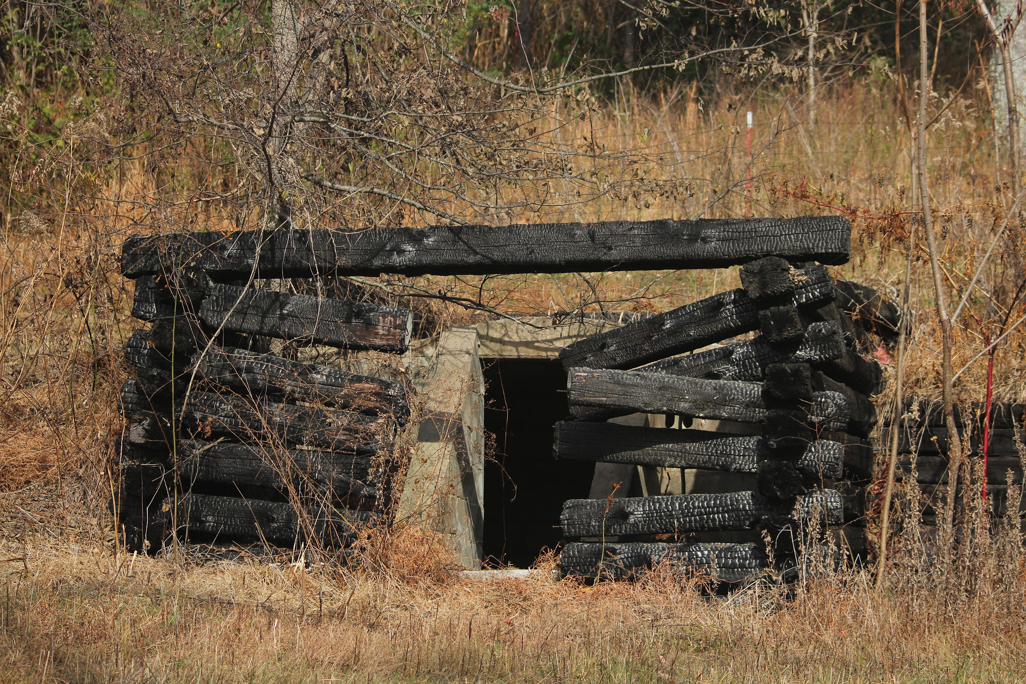 Canon EOS 1200D (EOS Rebel T5 / EOS Kiss X70 / EOS Hi) sample photo. Burnt memories  photography