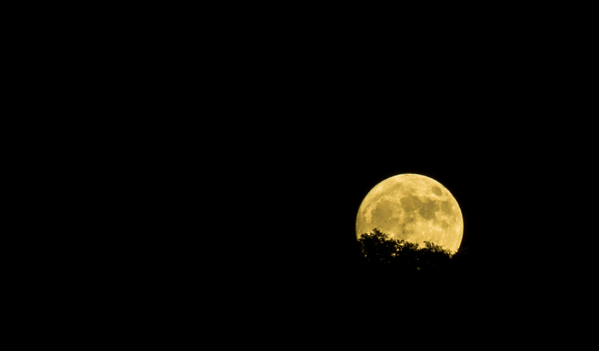 Pentax K-50 + Sigma sample photo. Super photography