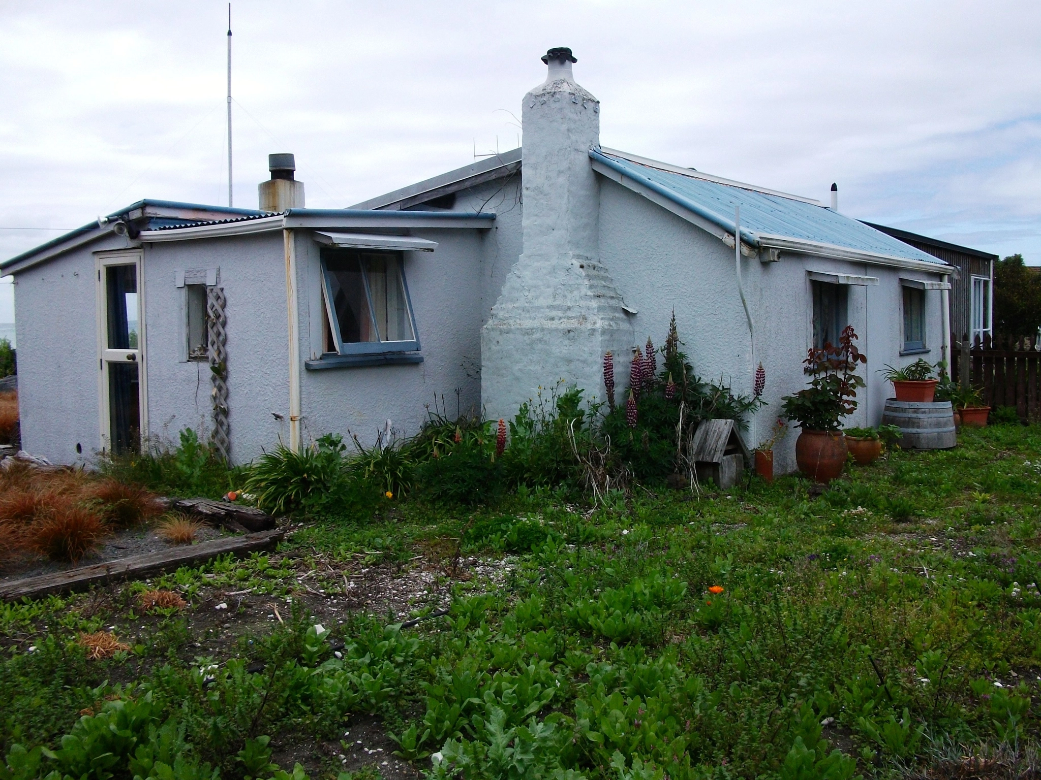 Fujifilm A170 A180 sample photo. Kiakoura sea cottage photography