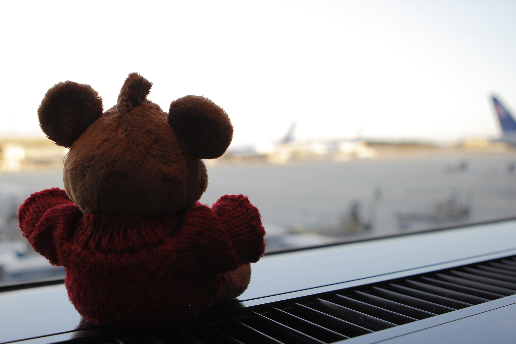 Canon EOS 550D (EOS Rebel T2i / EOS Kiss X4) sample photo. Debo photography