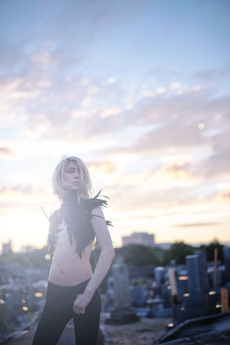 ZEISS Milvus 50mm F1.4 sample photo. Bb photography