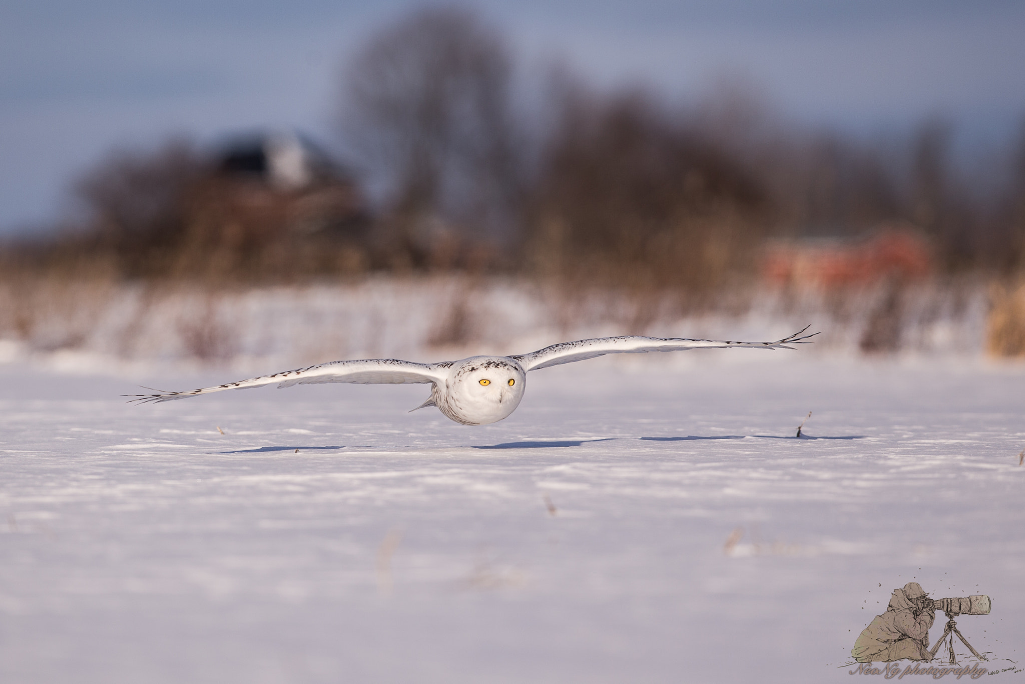 Canon EF 300mm F2.8L IS II USM sample photo. Neo photography