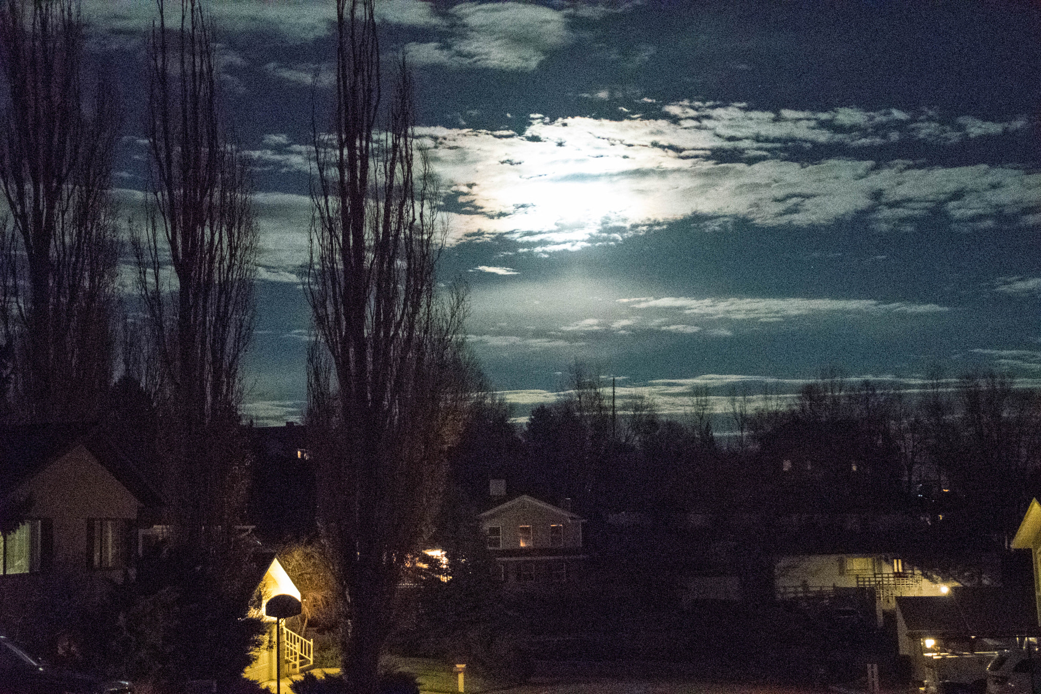 Nikon D500 sample photo. Moon rise in elko photography