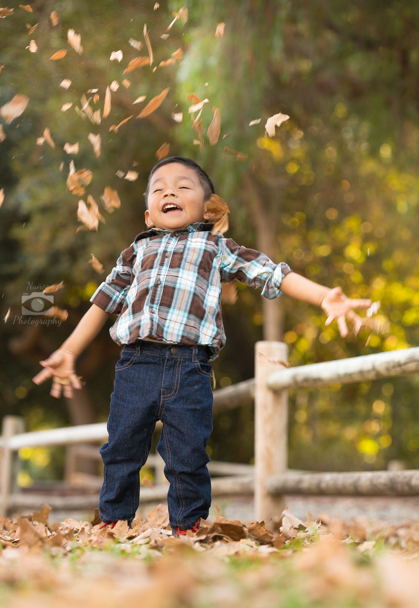 Sony a99 II + Minolta/Sony AF 70-200mm F2.8 G sample photo