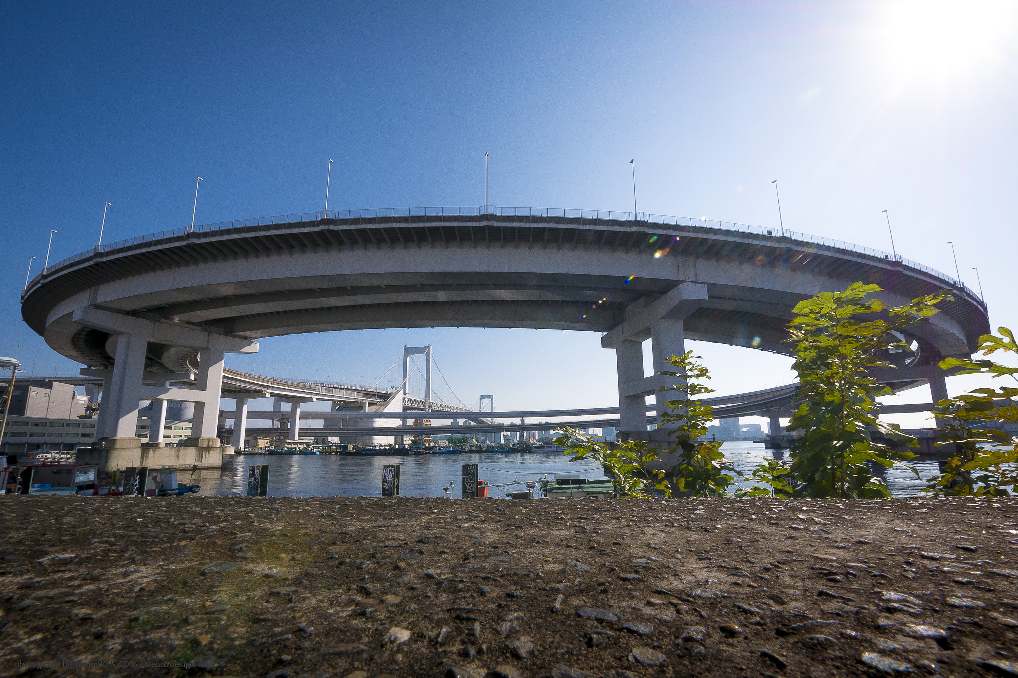 Panasonic DMC-G8 + Panasonic Lumix G Vario 7-14mm F4 ASPH sample photo. Close encounters photography