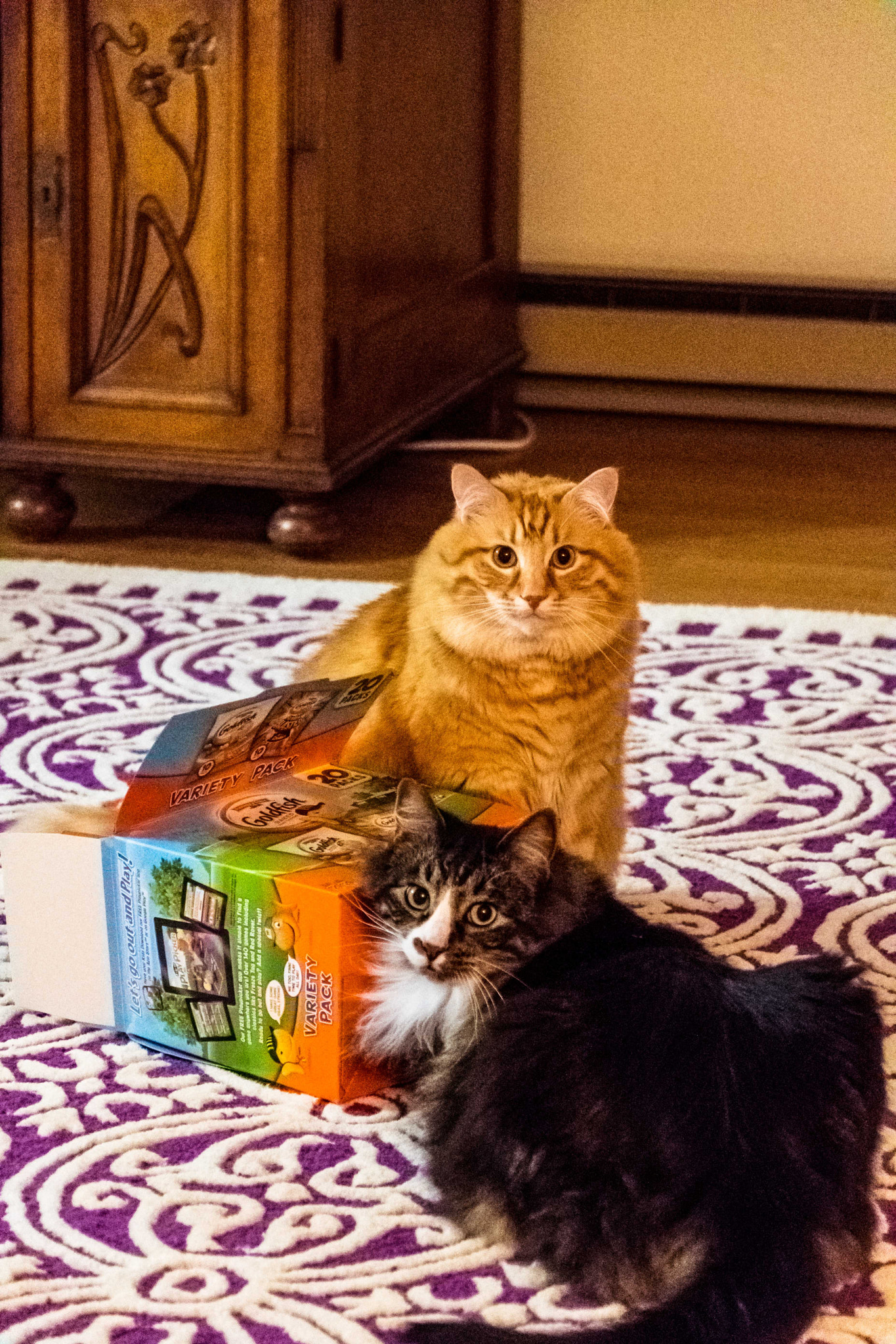 Nikon D500 sample photo. What? we're not doing anything photography