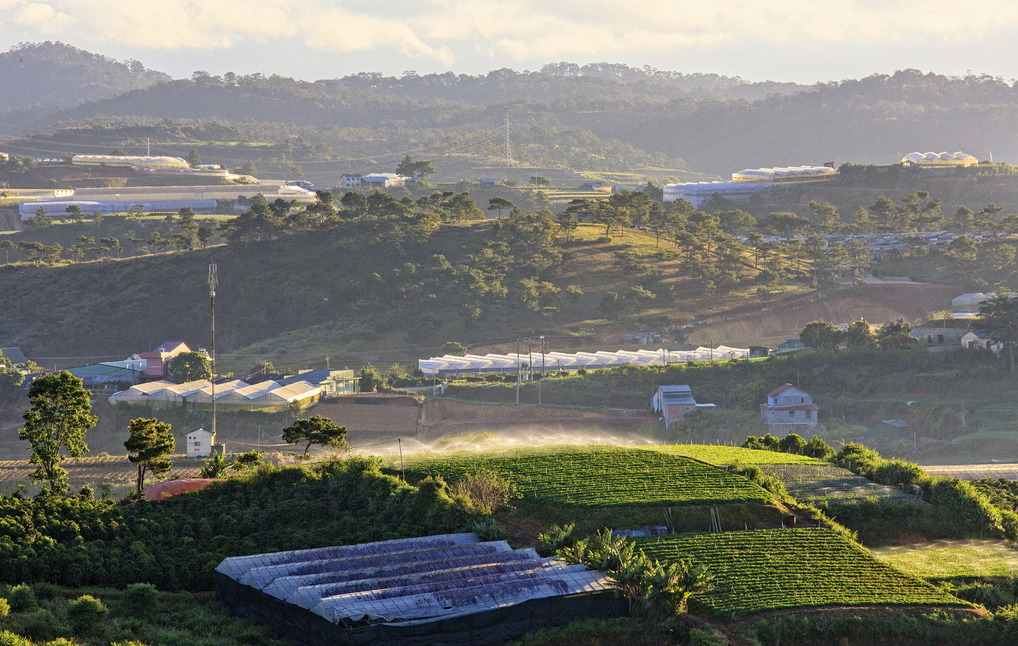 Canon EOS-1Ds Mark III sample photo. Farms on hill photography