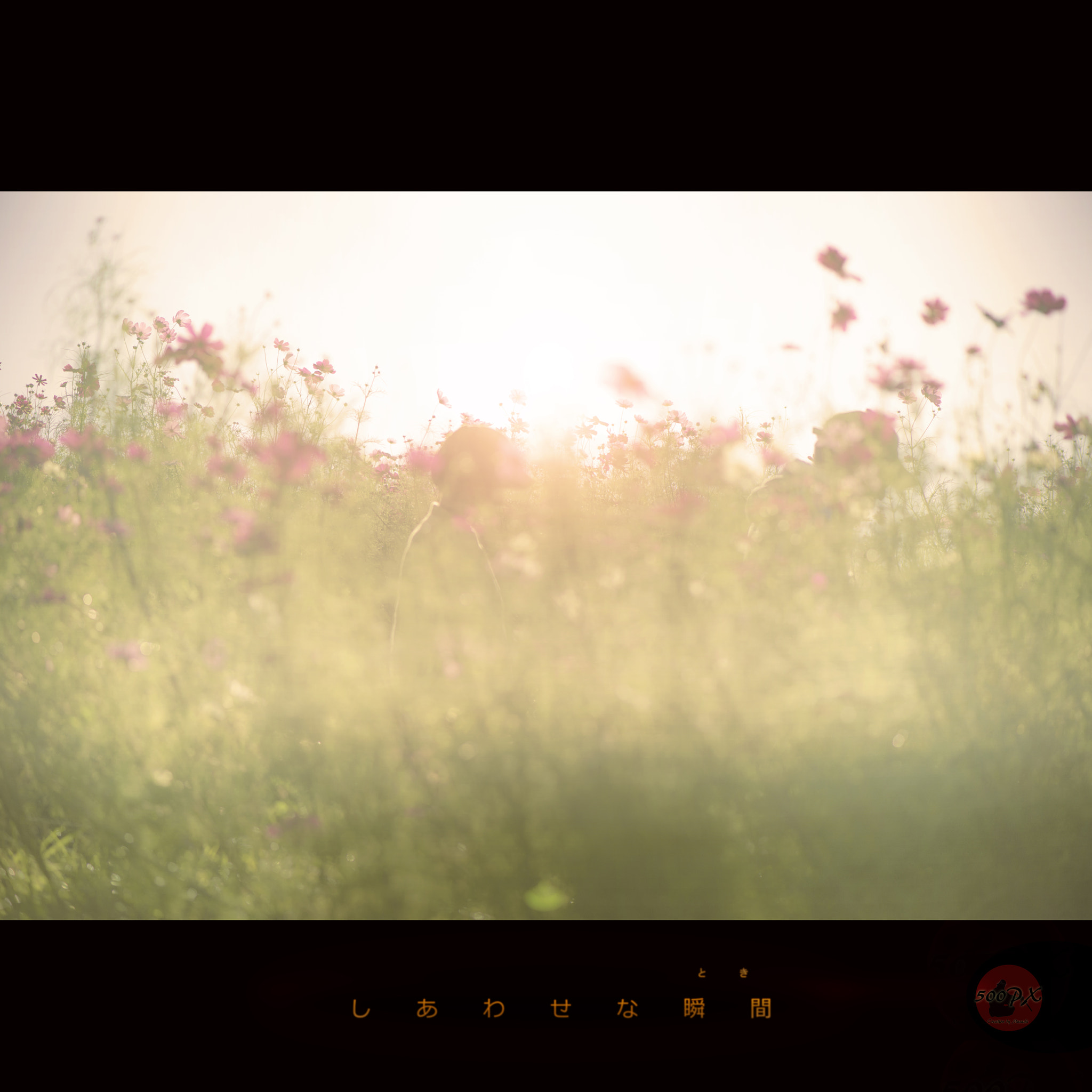 Nikon D800 + Nikon AF-S Nikkor 58mm F1.4G sample photo. しあわせな瞬間 photography