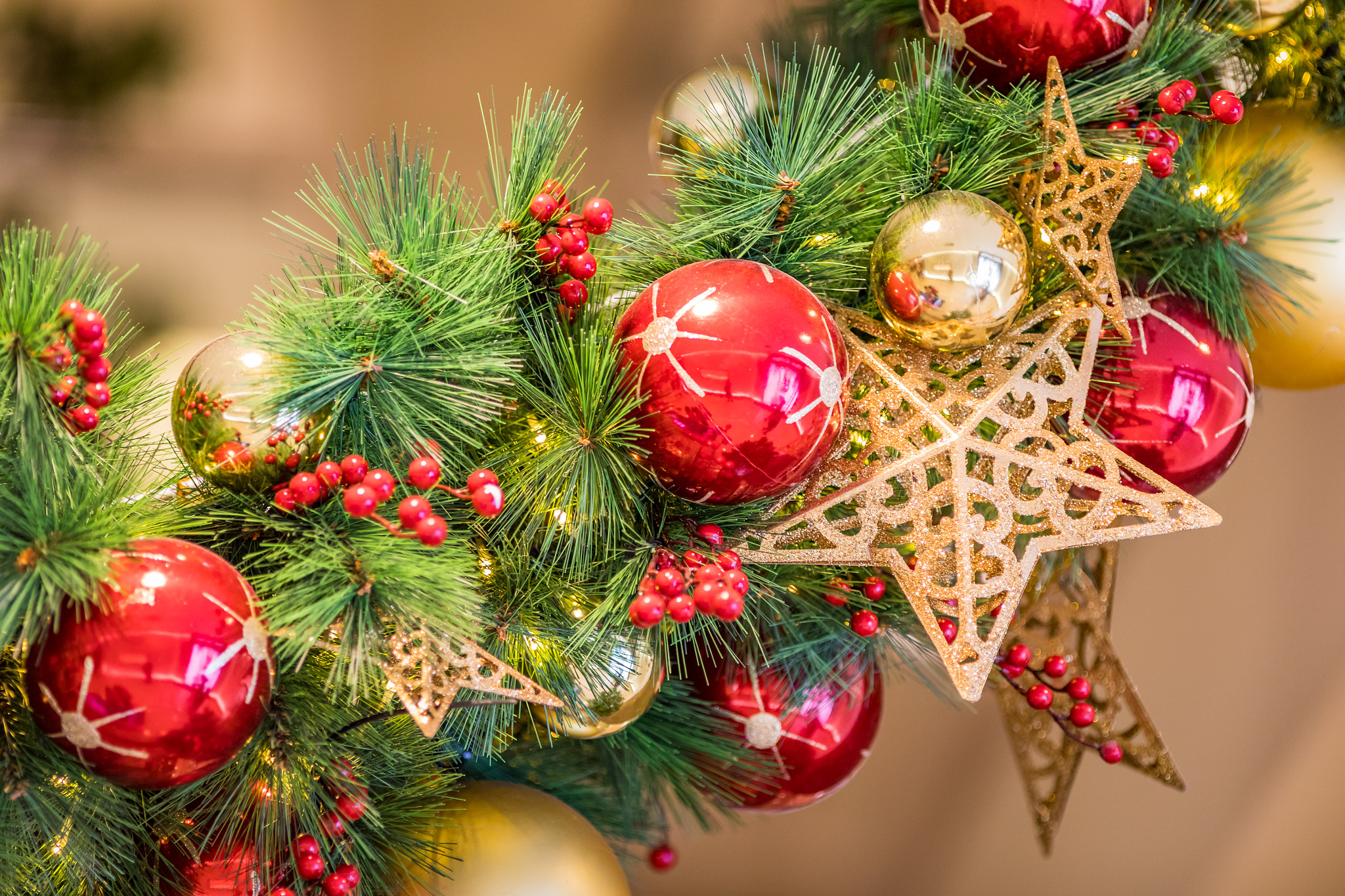 Canon EF 200mm F2.8L II USM sample photo. Christmas stars photography