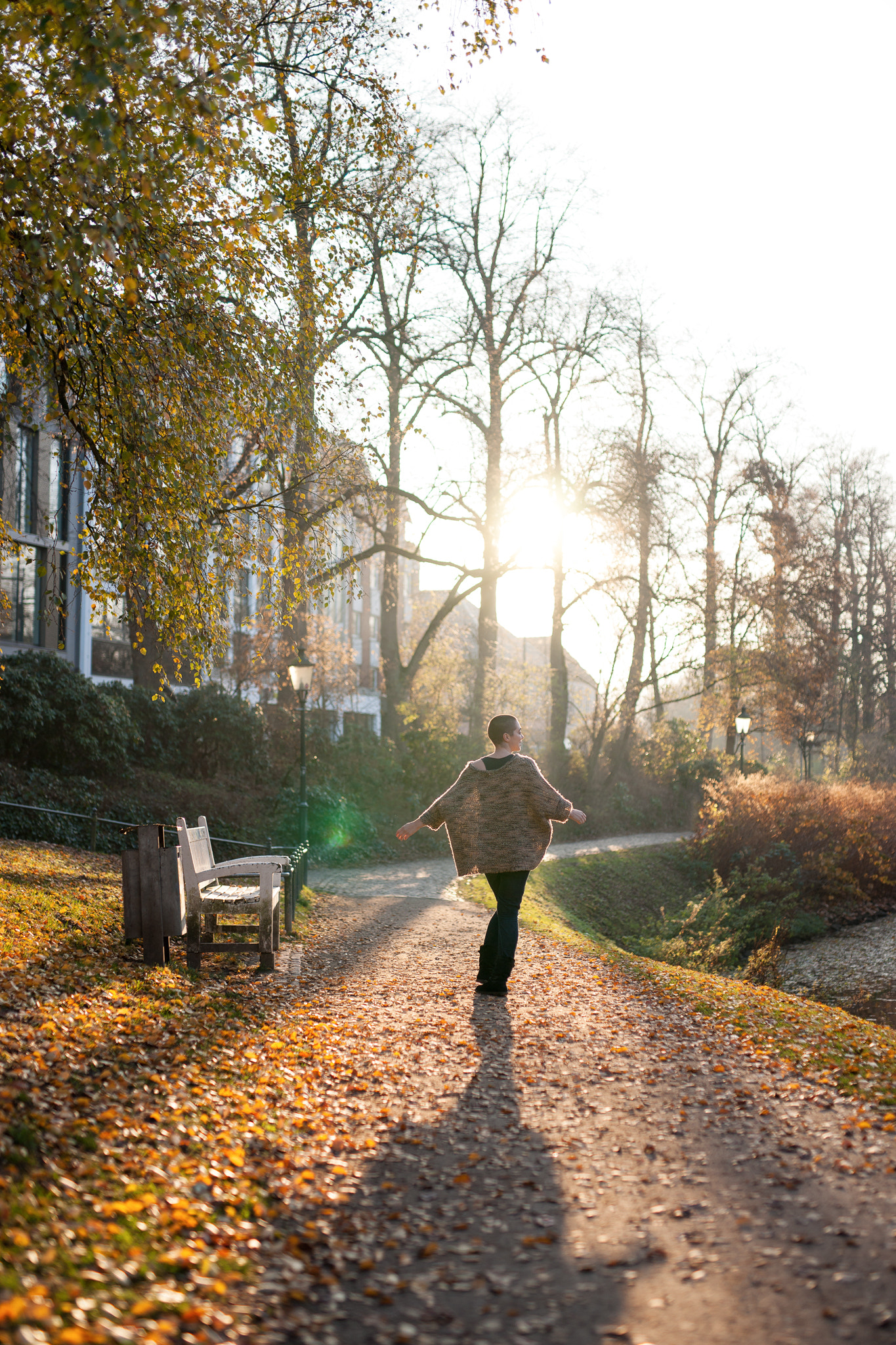 Sony Alpha DSLR-A900 + Sigma 50mm F1.4 EX DG HSM sample photo. Autum sun photography