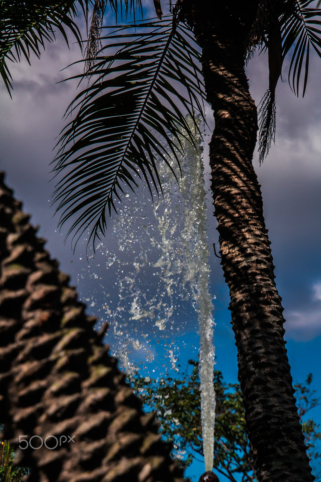Canon EOS 750D (EOS Rebel T6i / EOS Kiss X8i) sample photo. Fountain photography