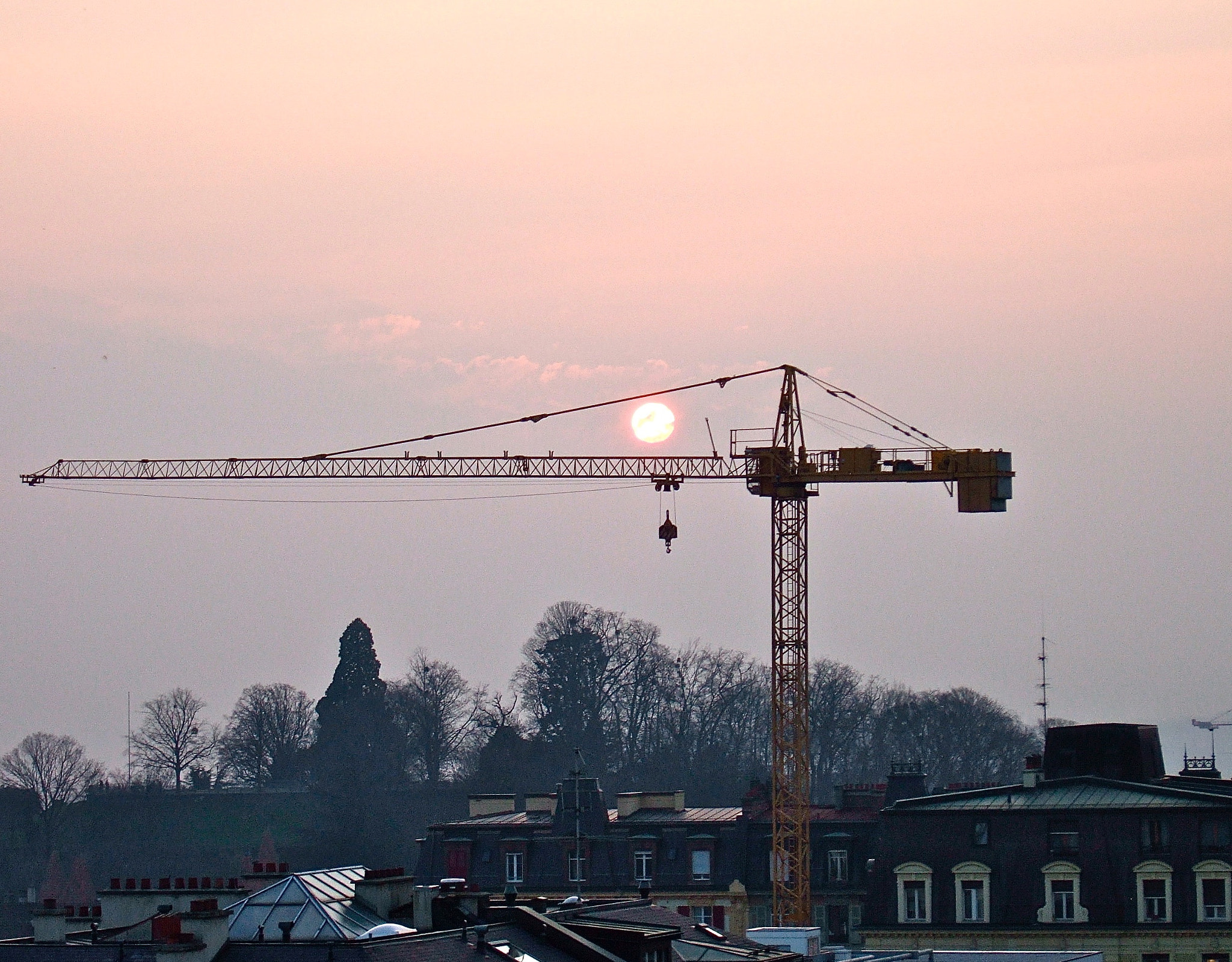 Fujifilm FinePix F11 sample photo. La belle grue photography