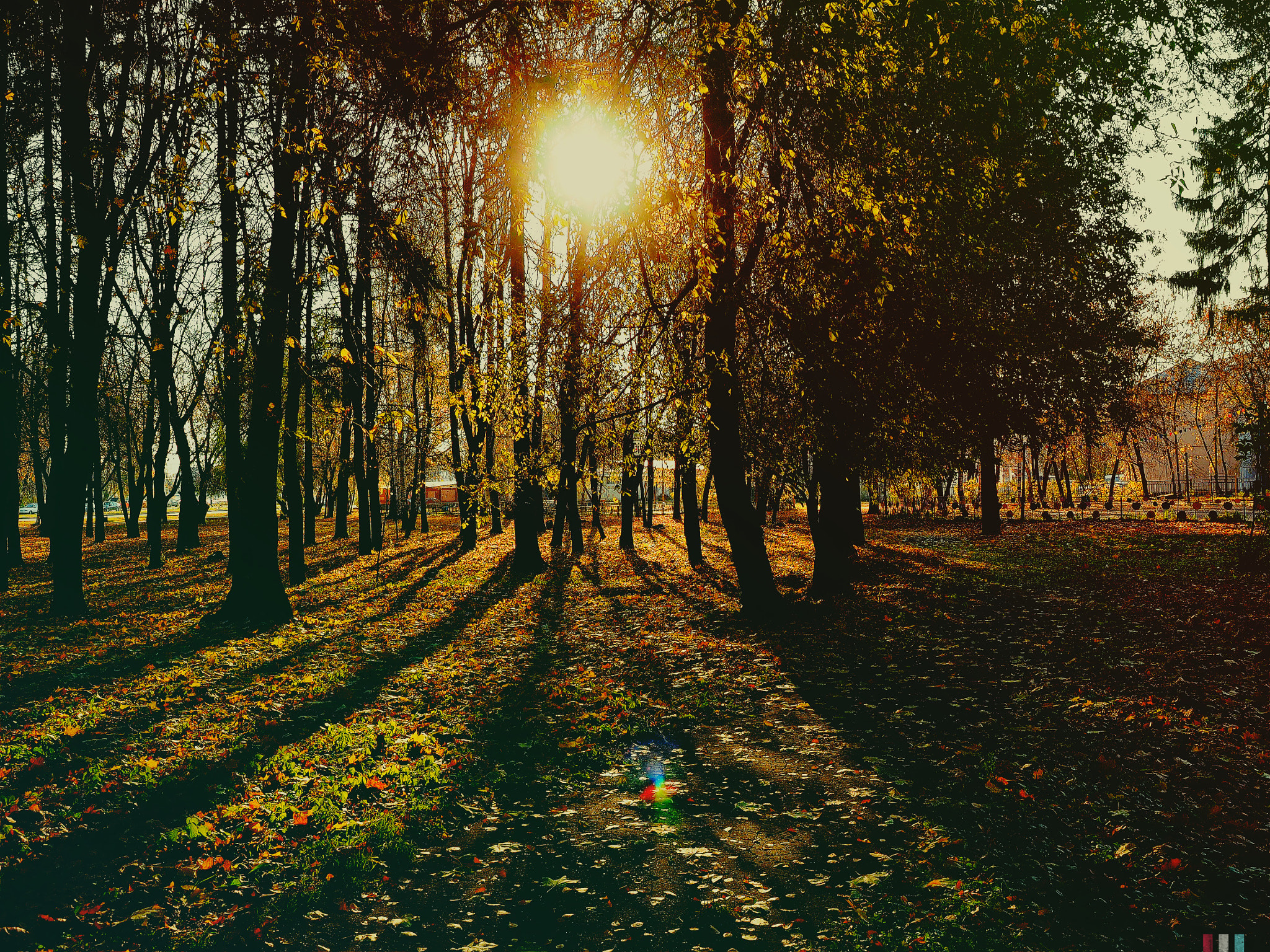 Hipstamatic 322 sample photo. In the winter i dream about summer, the summer dre ... photography