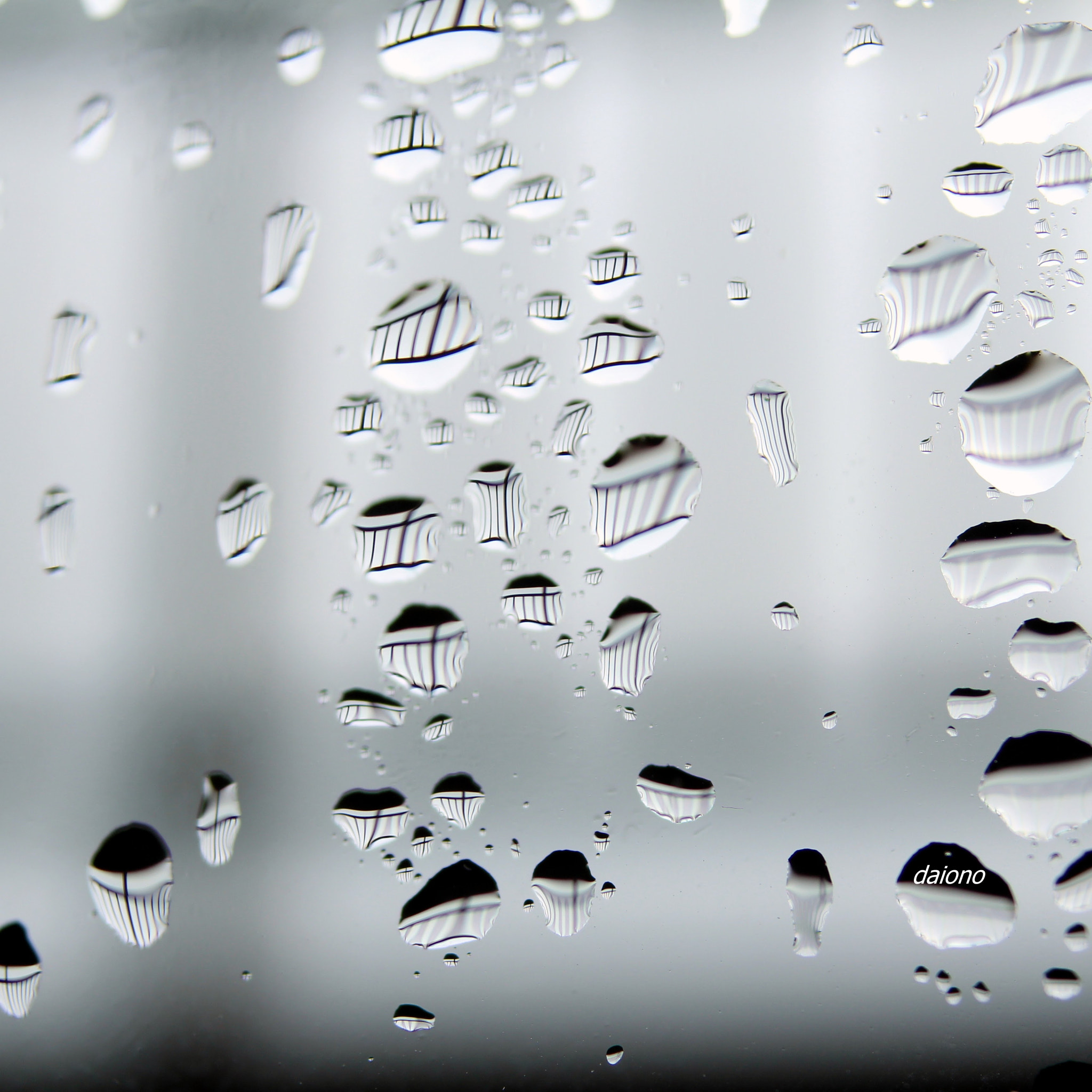 Sigma 28-80mm f/3.5-5.6 II Macro sample photo. Rain photography