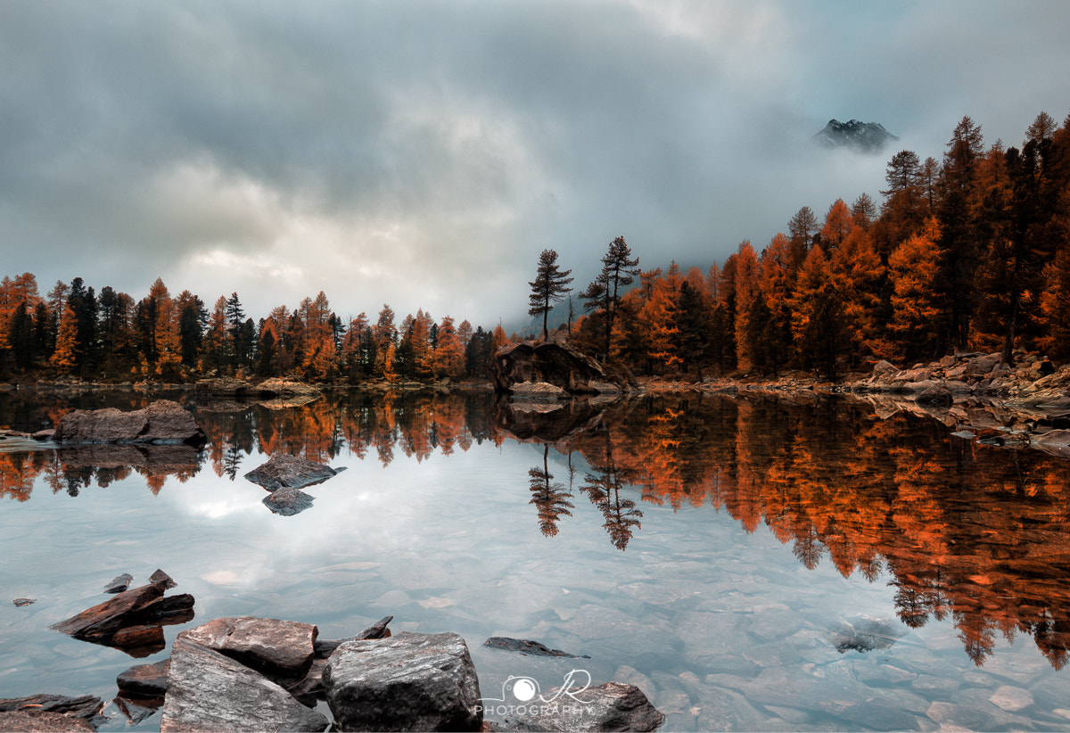 Canon EOS 6D + Canon EF 11-24mm F4L USM sample photo. Autumn of colours  photography