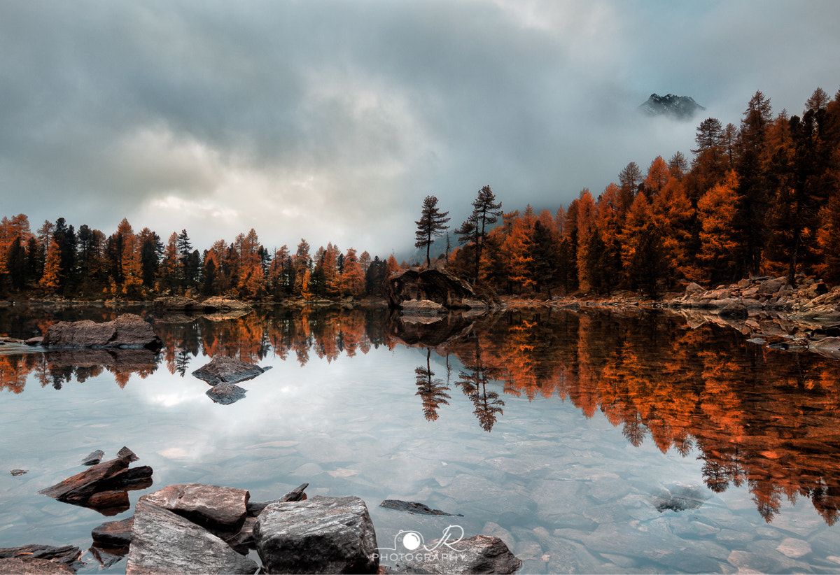 Canon EOS 6D + Canon EF 11-24mm F4L USM sample photo. Autumn of colours  photography