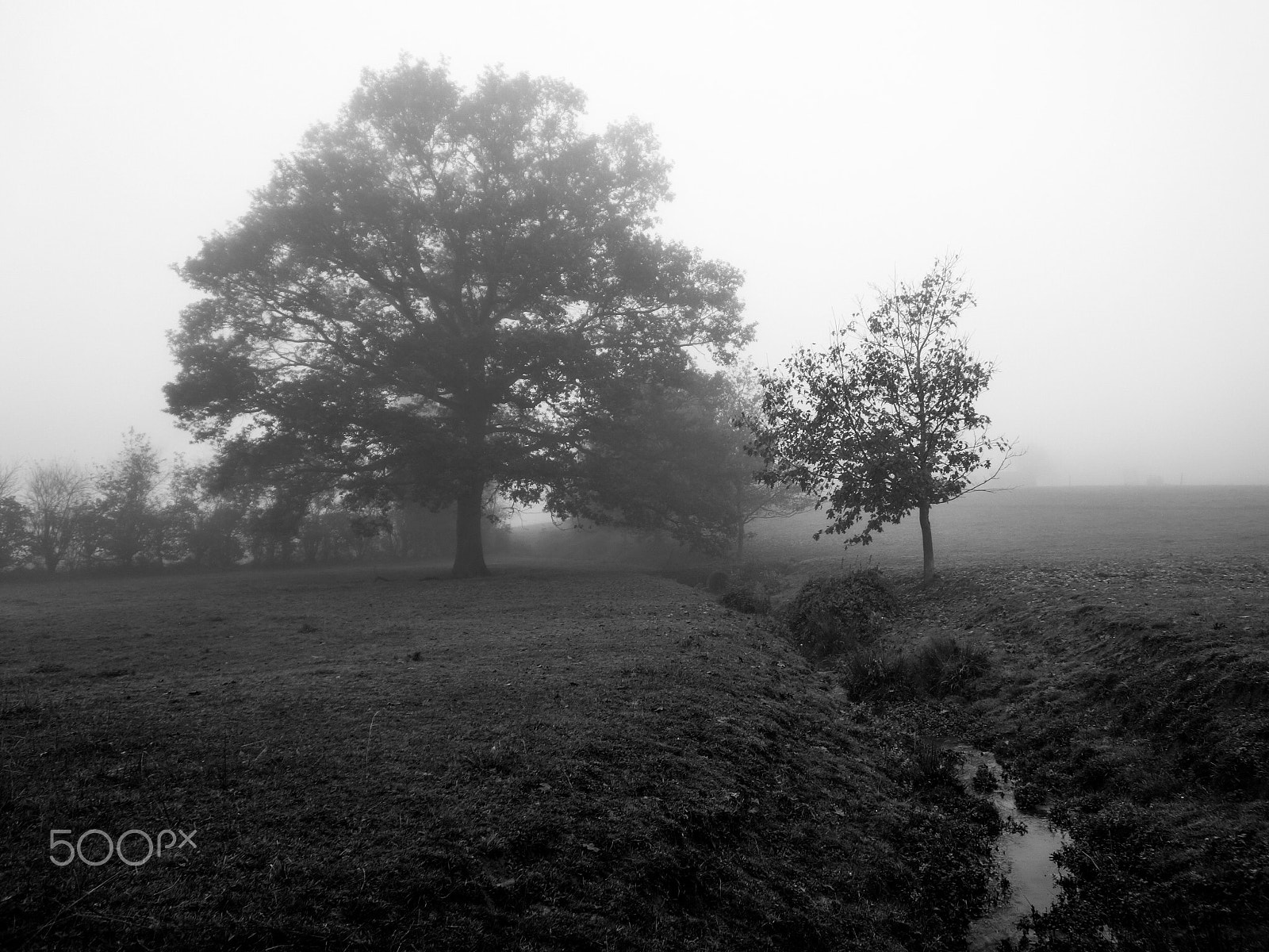 Sony Alpha NEX-7 sample photo. Le ruisseau photography
