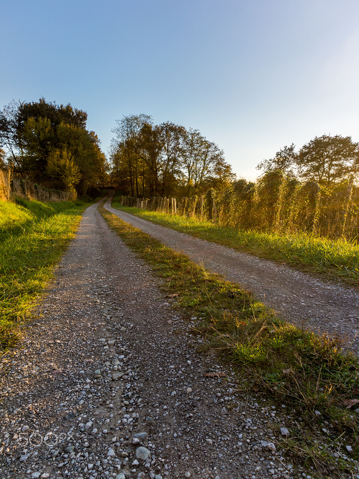 Sony Alpha NEX-7 sample photo. Chemin d'automne photography