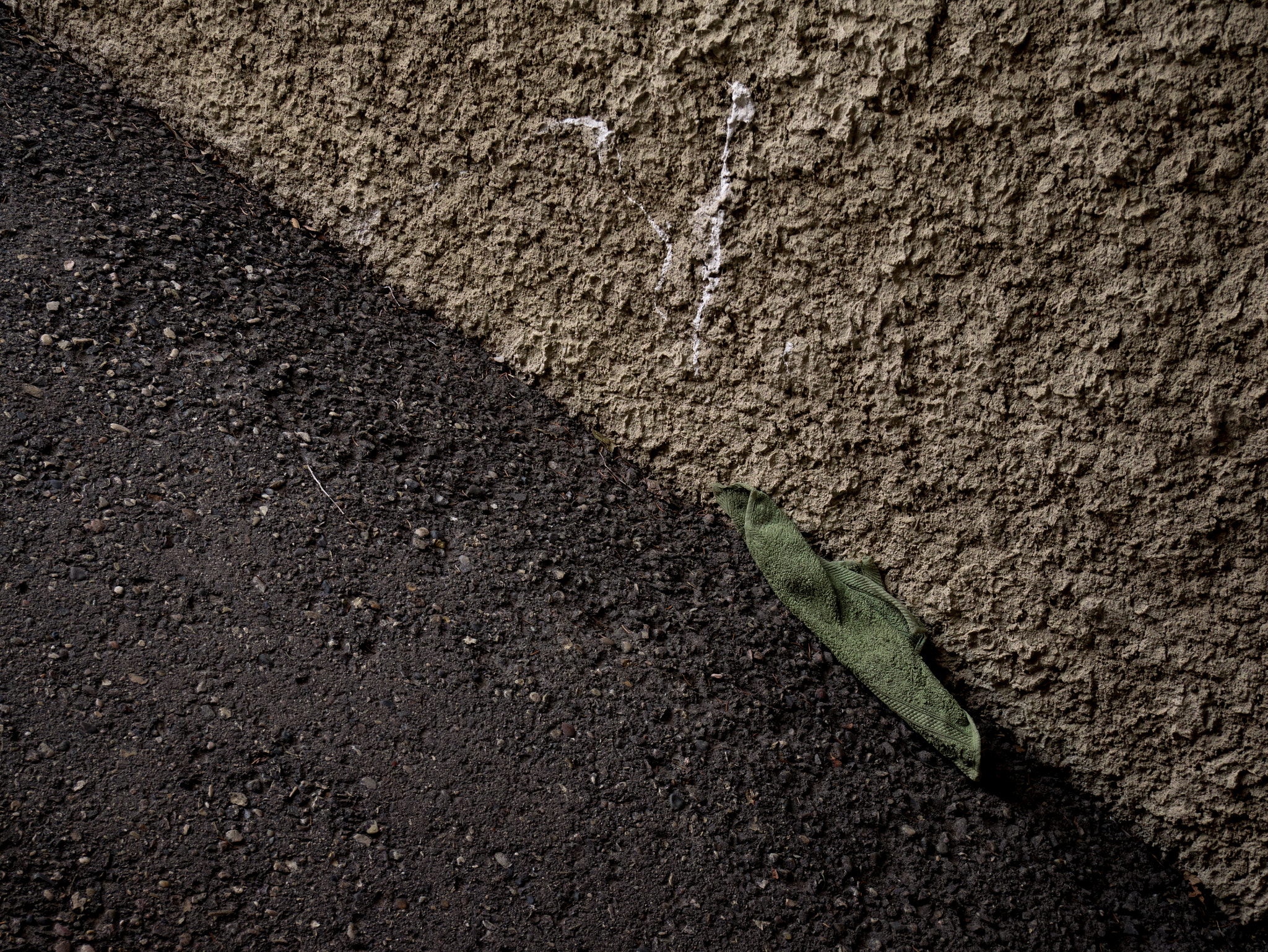 Panasonic Lumix DMC-GF7 sample photo. Rag photography