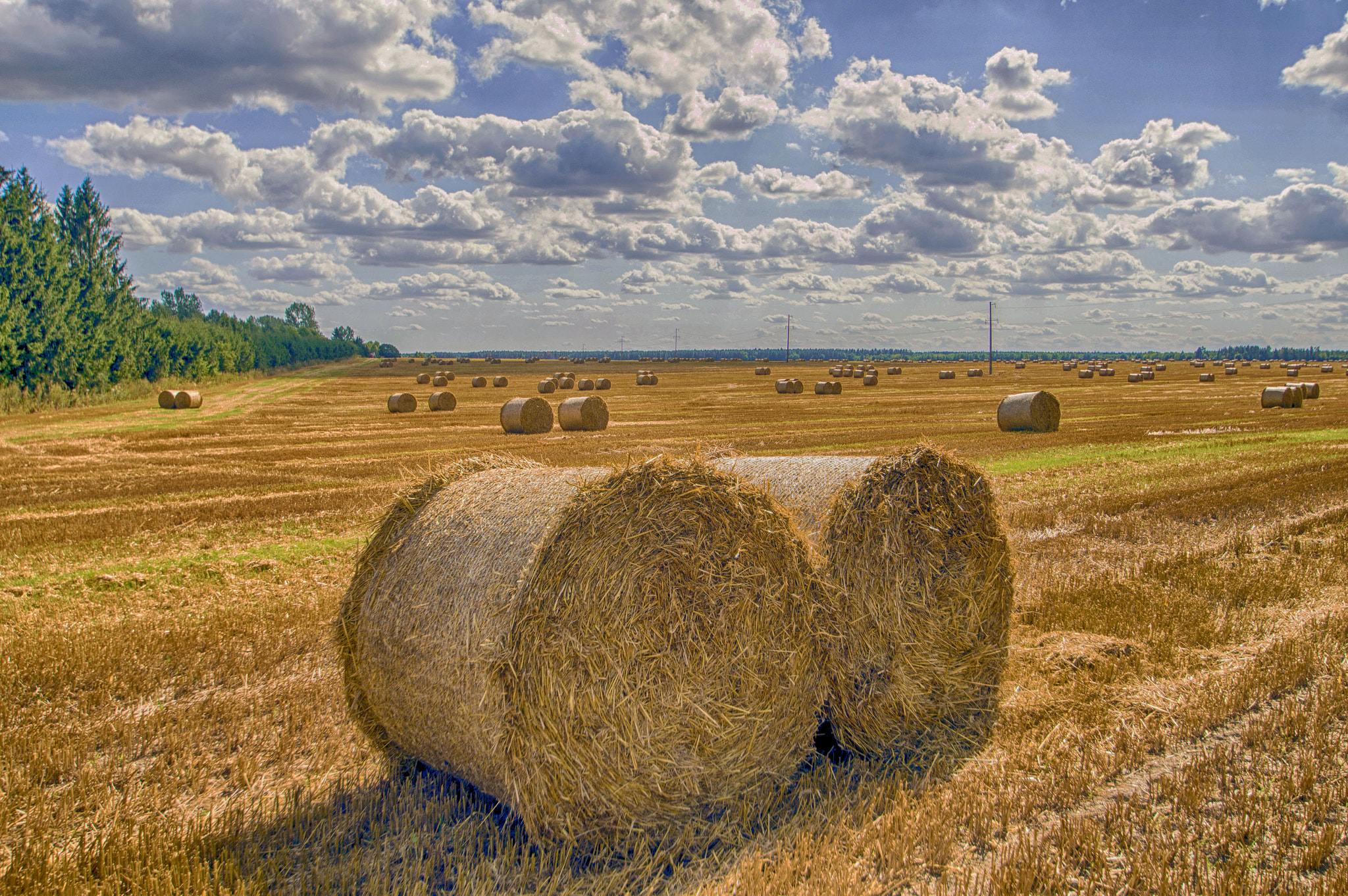 Nikon D3200 sample photo. Collection of hay in the fields photography