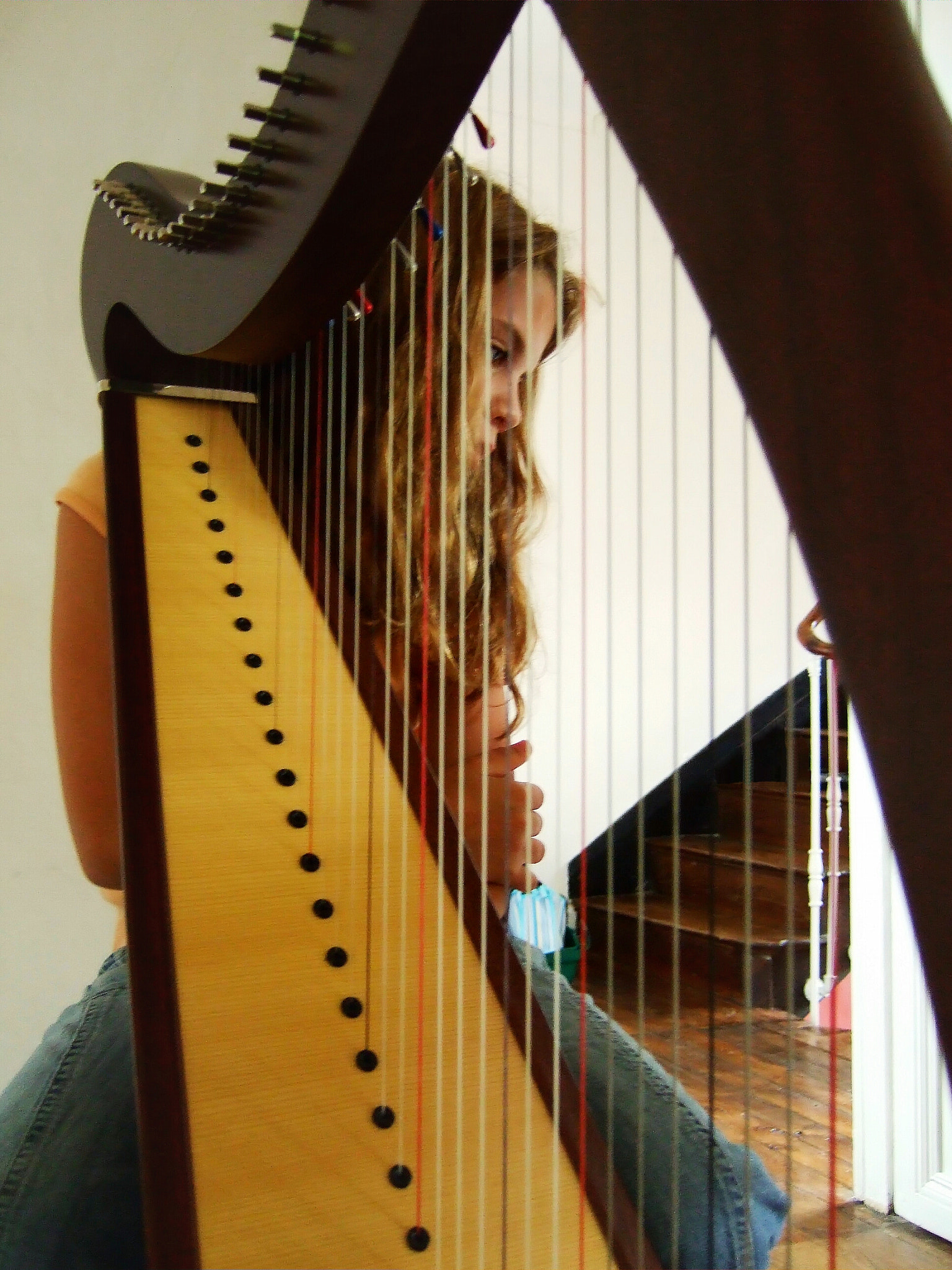 Fujifilm FinePix F30 sample photo. Harp girl photography