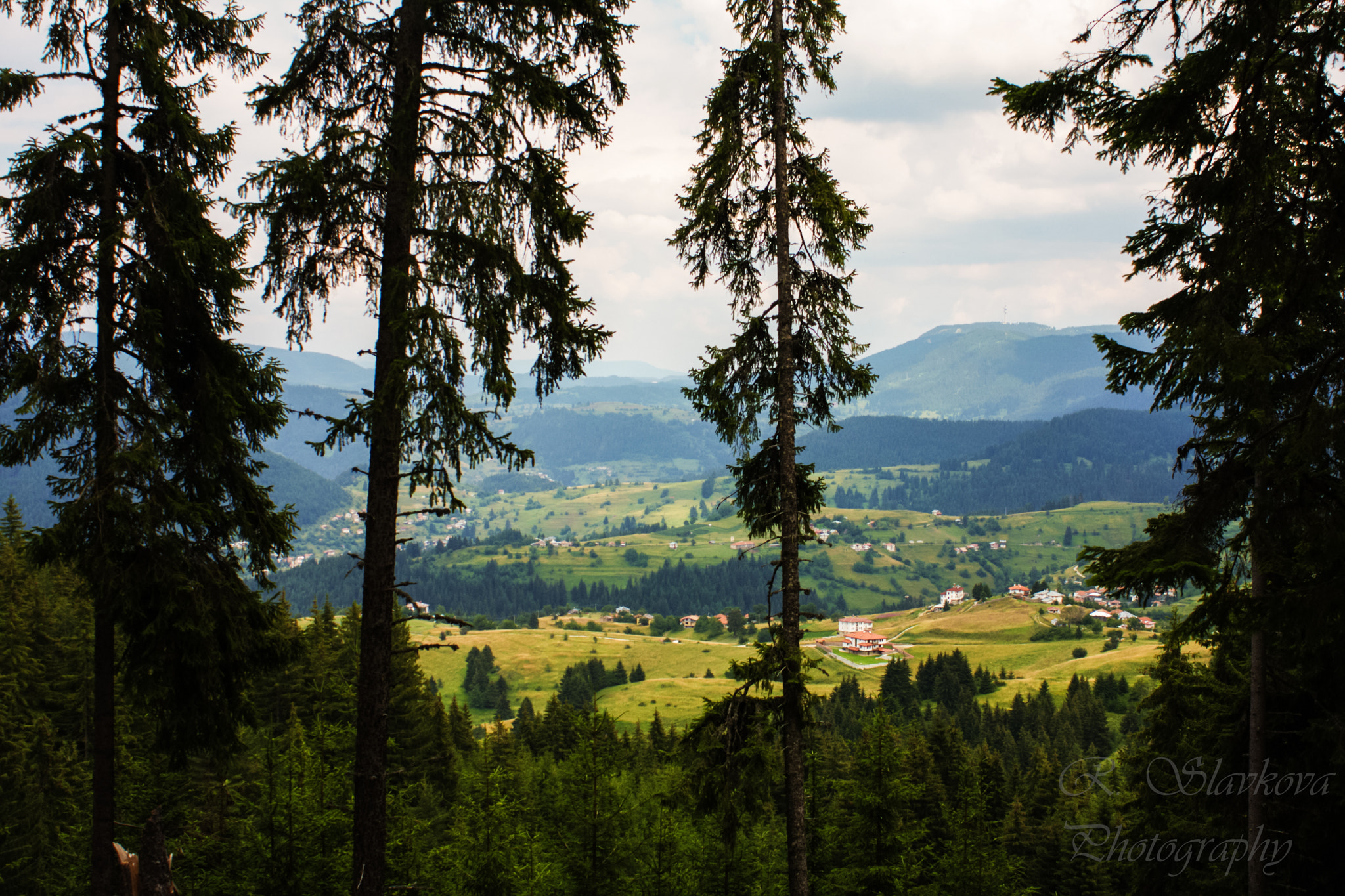 Canon EOS 40D sample photo. Among the trees photography