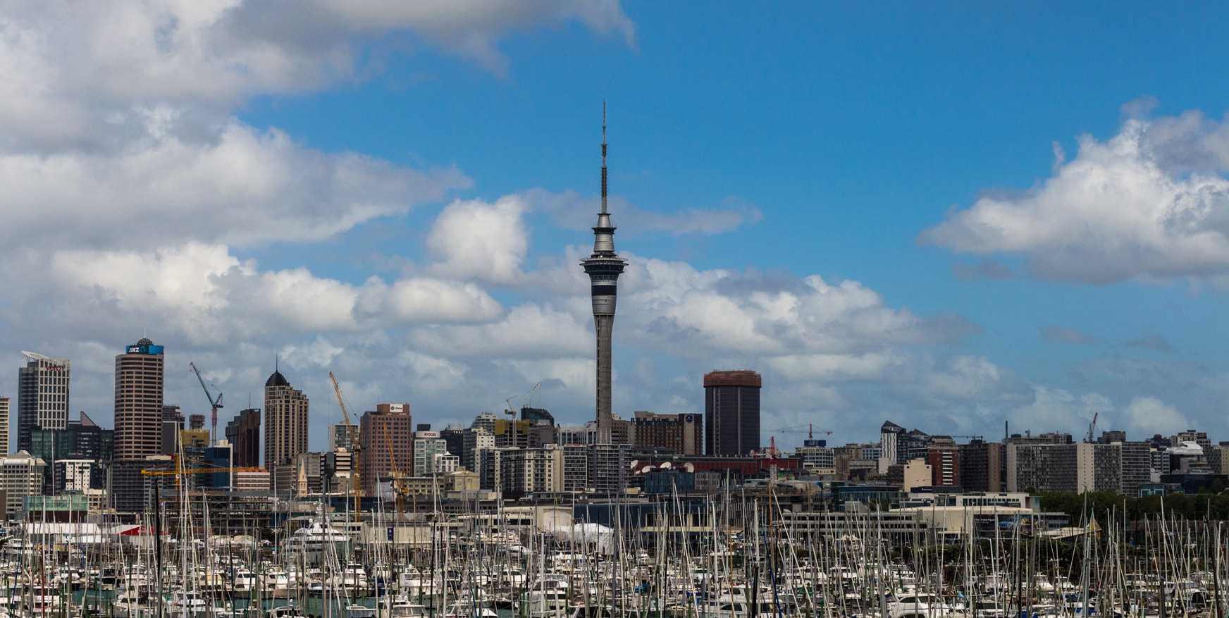 Canon EOS 700D (EOS Rebel T5i / EOS Kiss X7i) sample photo. Auckland photography