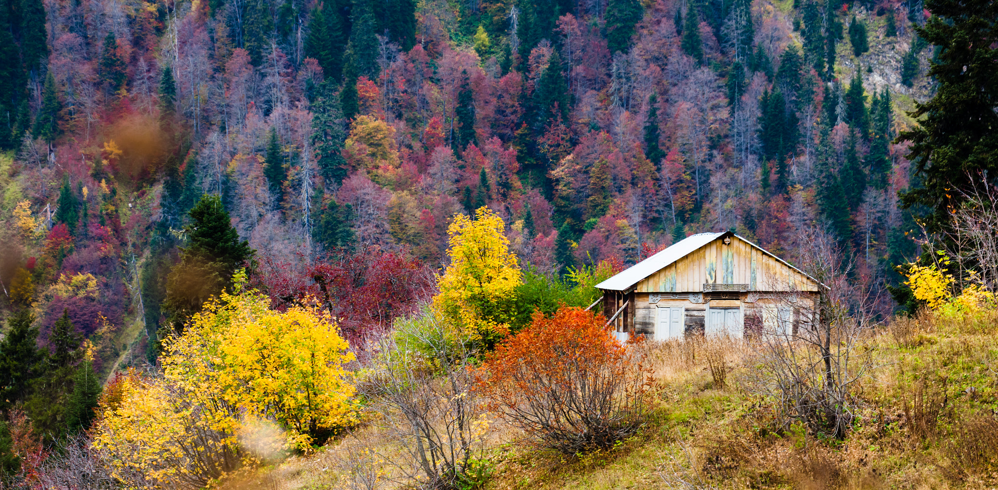 Canon EOS-1Ds Mark III sample photo. Autumn colors photography
