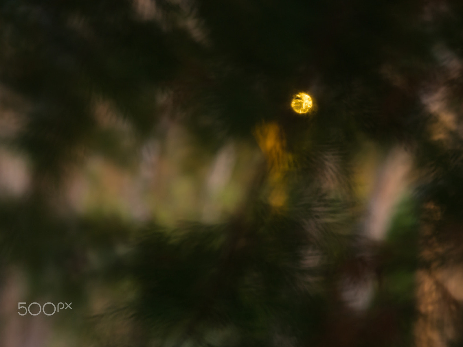 Olympus Zuiko Digital ED 12-60mm F2.8-4.0 SWD sample photo. The light... photography