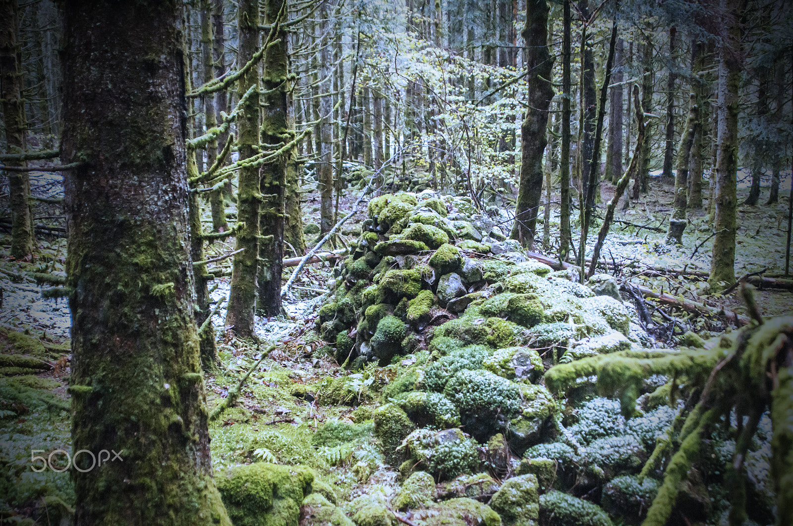 Nikon D300S + Sigma 28-105mm F2.8-4 Aspherical sample photo. Heap of old stones photography