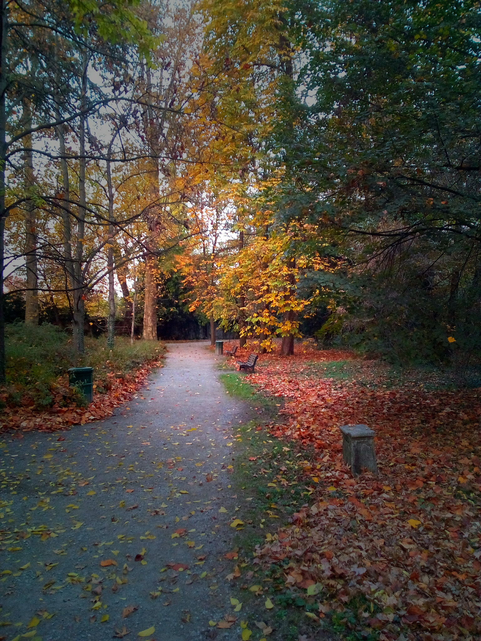 WIKO LENNY3 sample photo. Autunno photography