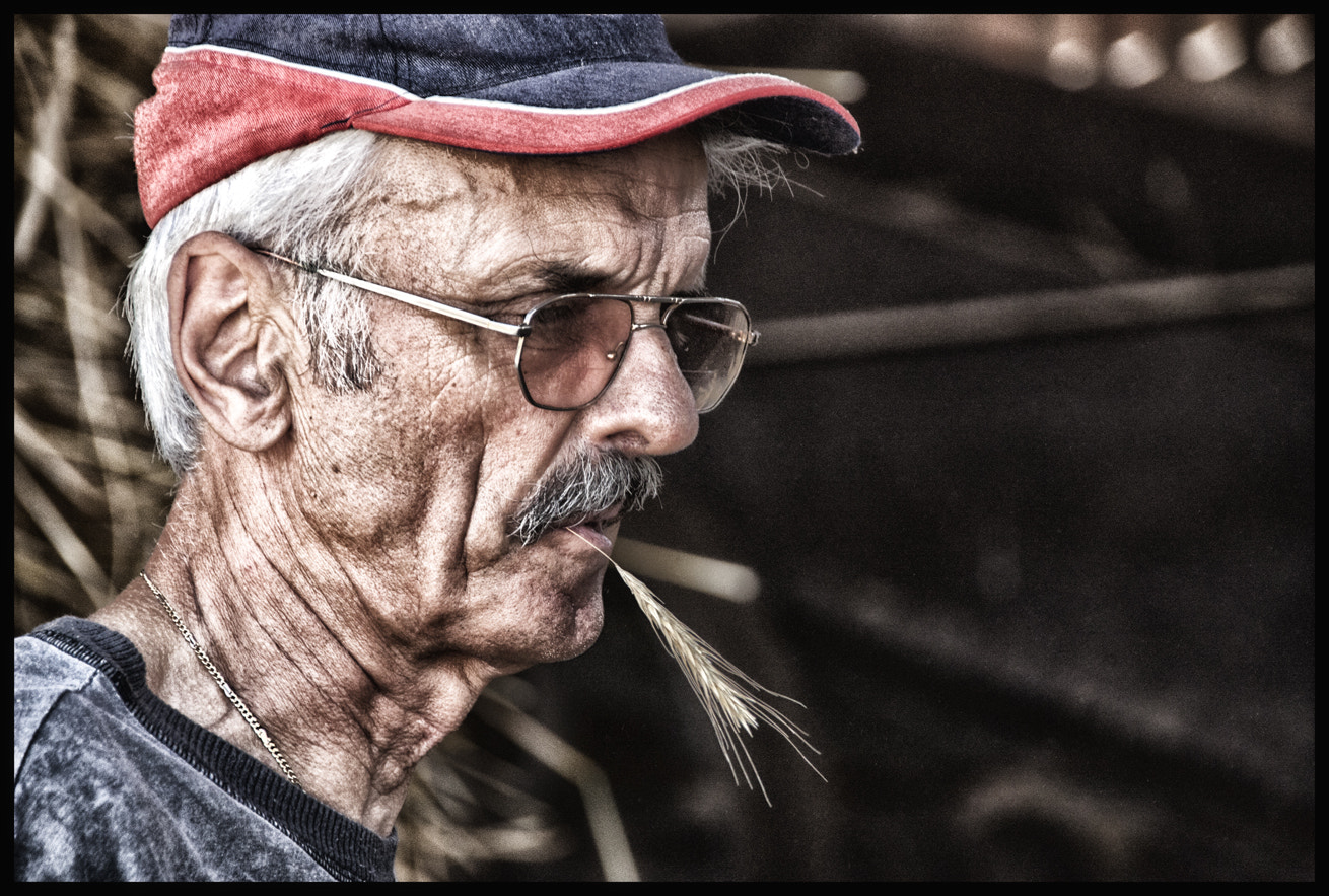Sigma 18-200mm f/3.5-6.3 DC OS sample photo. Farmer portarit photography