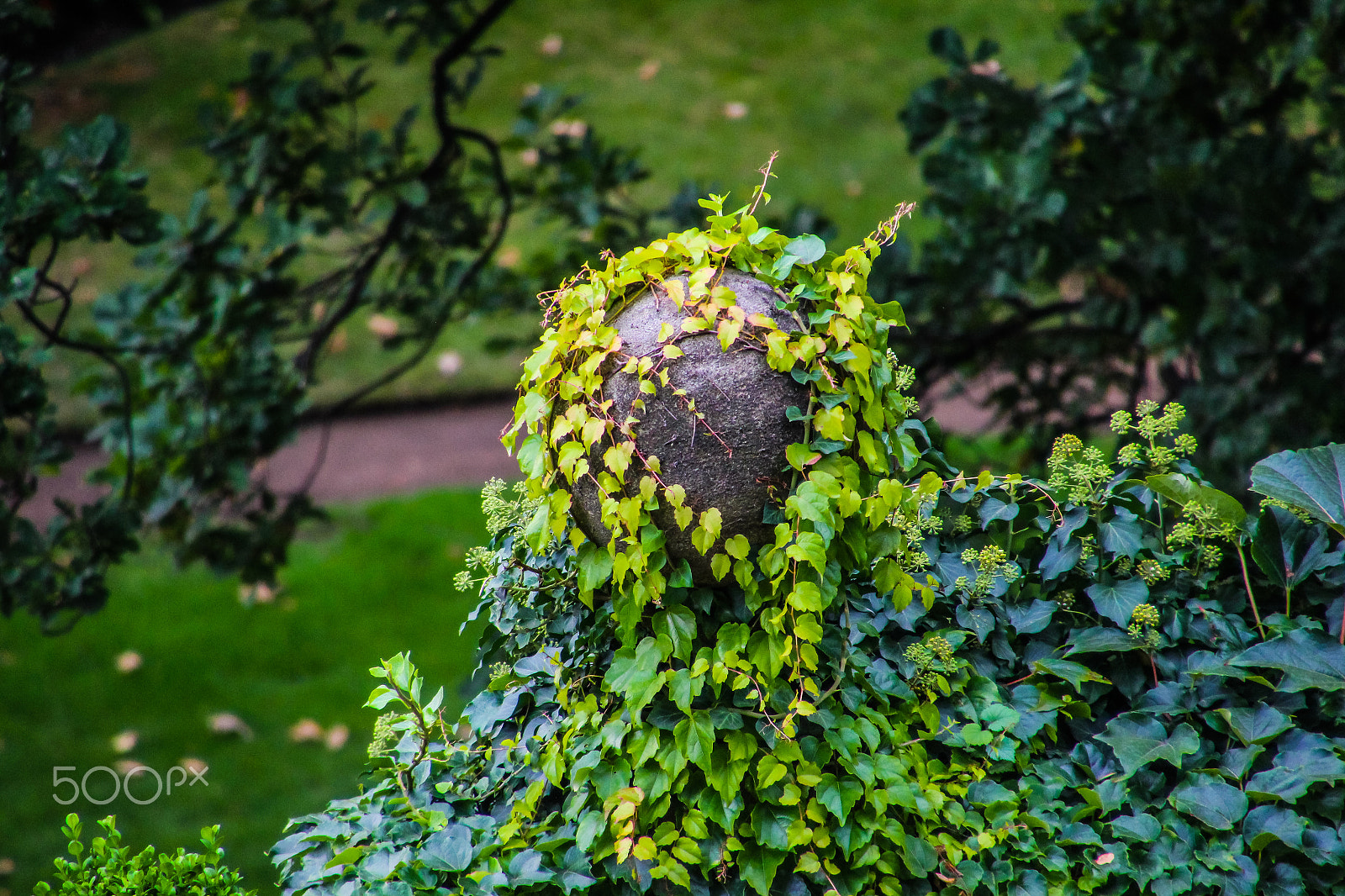 Canon EOS M sample photo. Prague nature photography