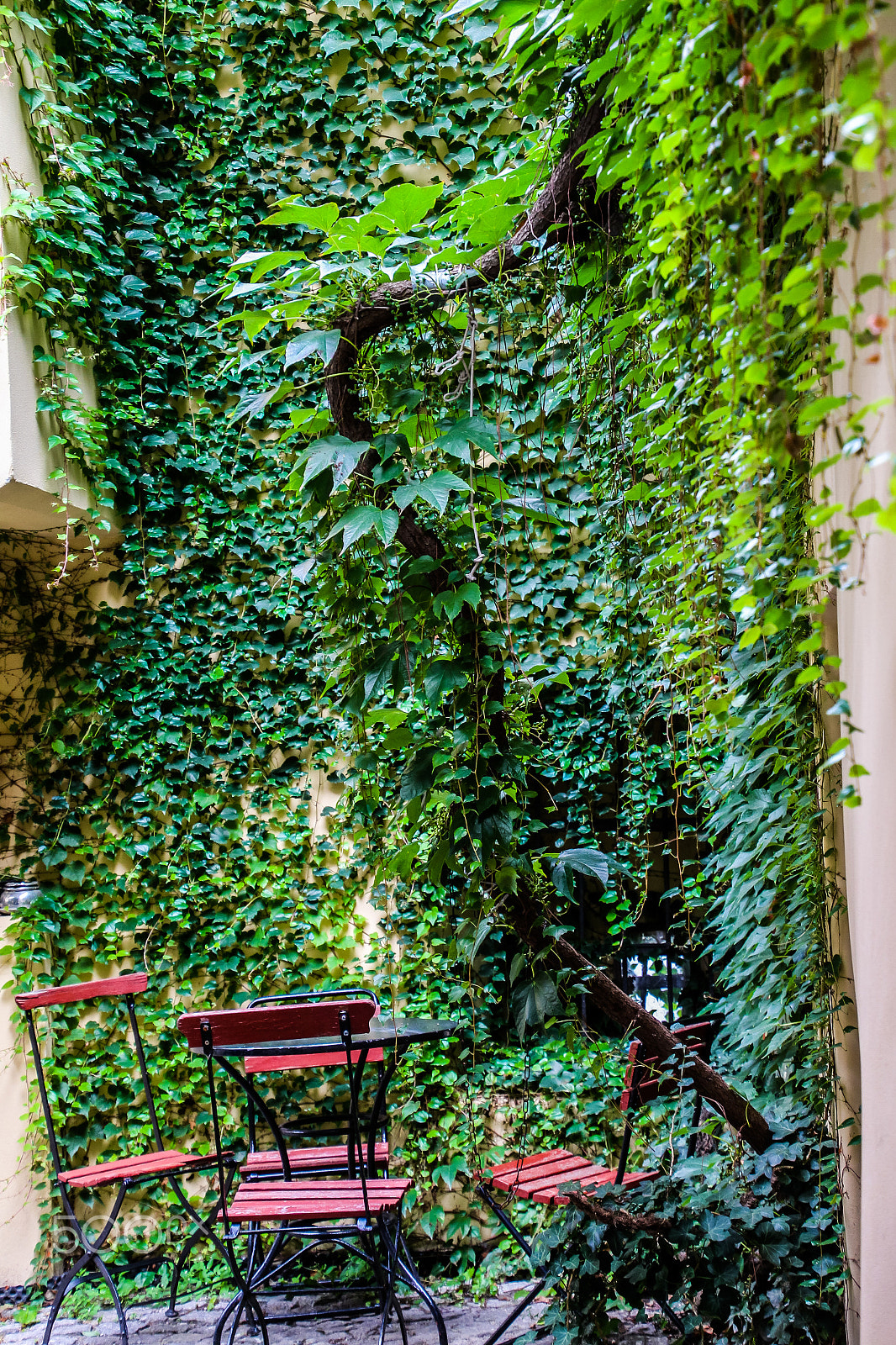 Canon EOS M sample photo. Prague nature photography