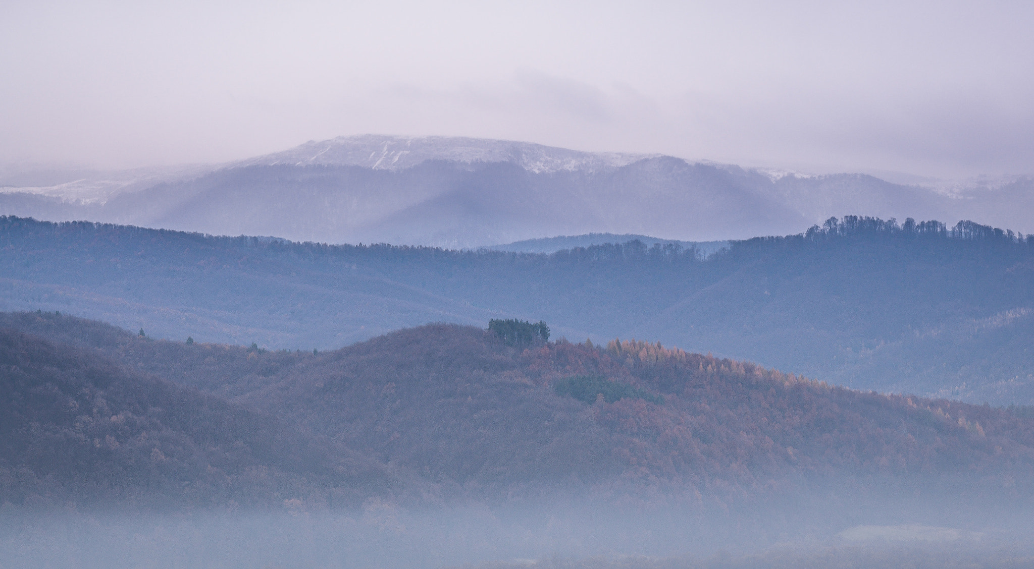 Nikon AF-S Micro-Nikkor 105mm F2.8G IF-ED VR sample photo. Foggy transcarpathian. Туманне Закарпаття. photography